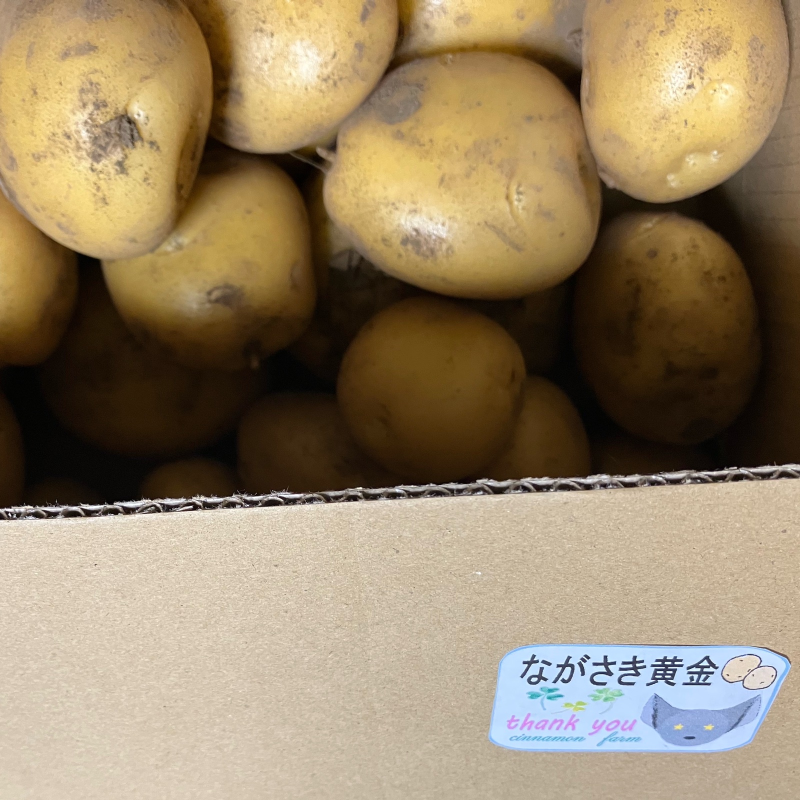 osay出品 長崎黄金 2kg ながさき黄金 | 野菜/じゃがいも 産直アウル 農家から直接野菜などの