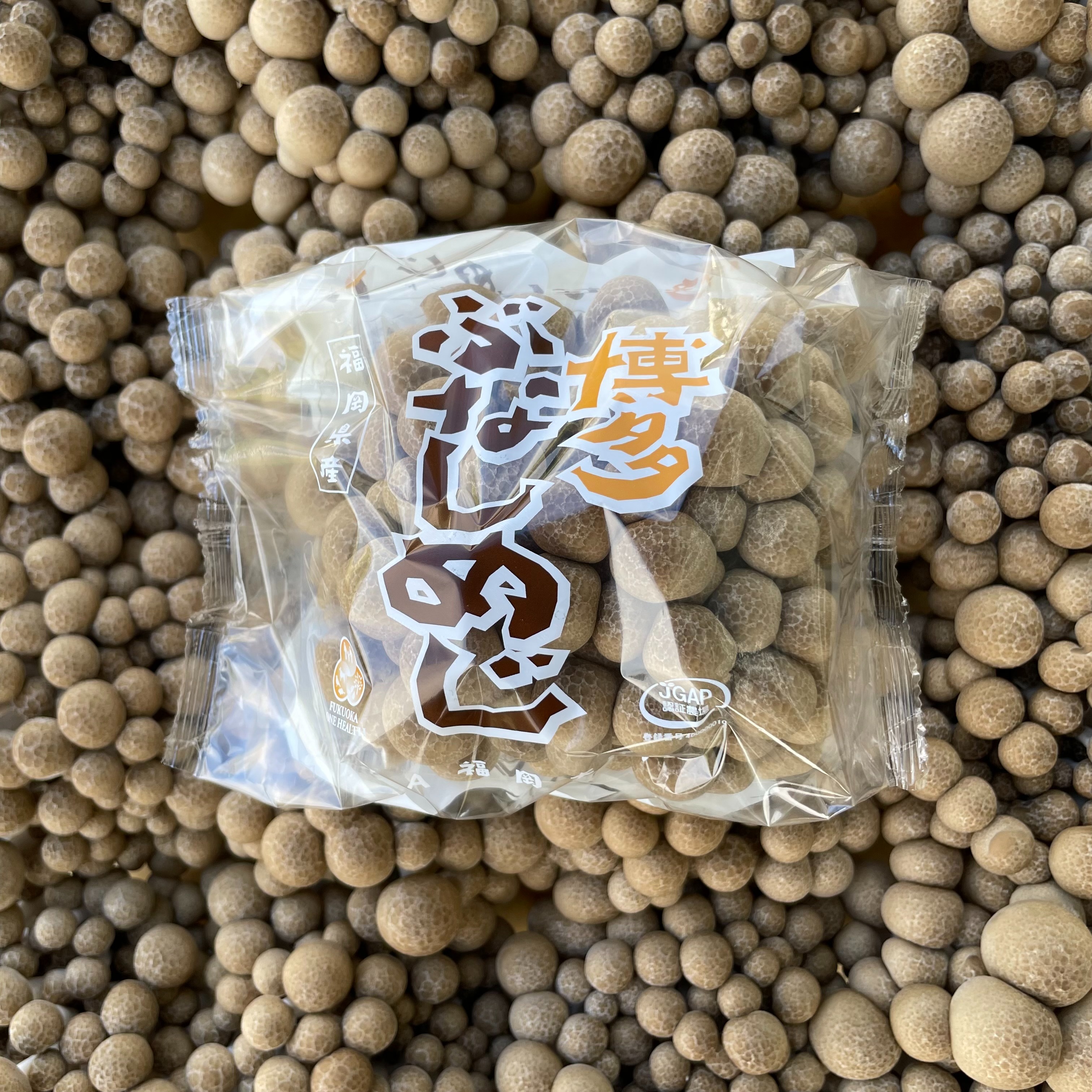 ぶなしめじ 61R2OMTSZ8L._UF350,350_QL50_.jpg