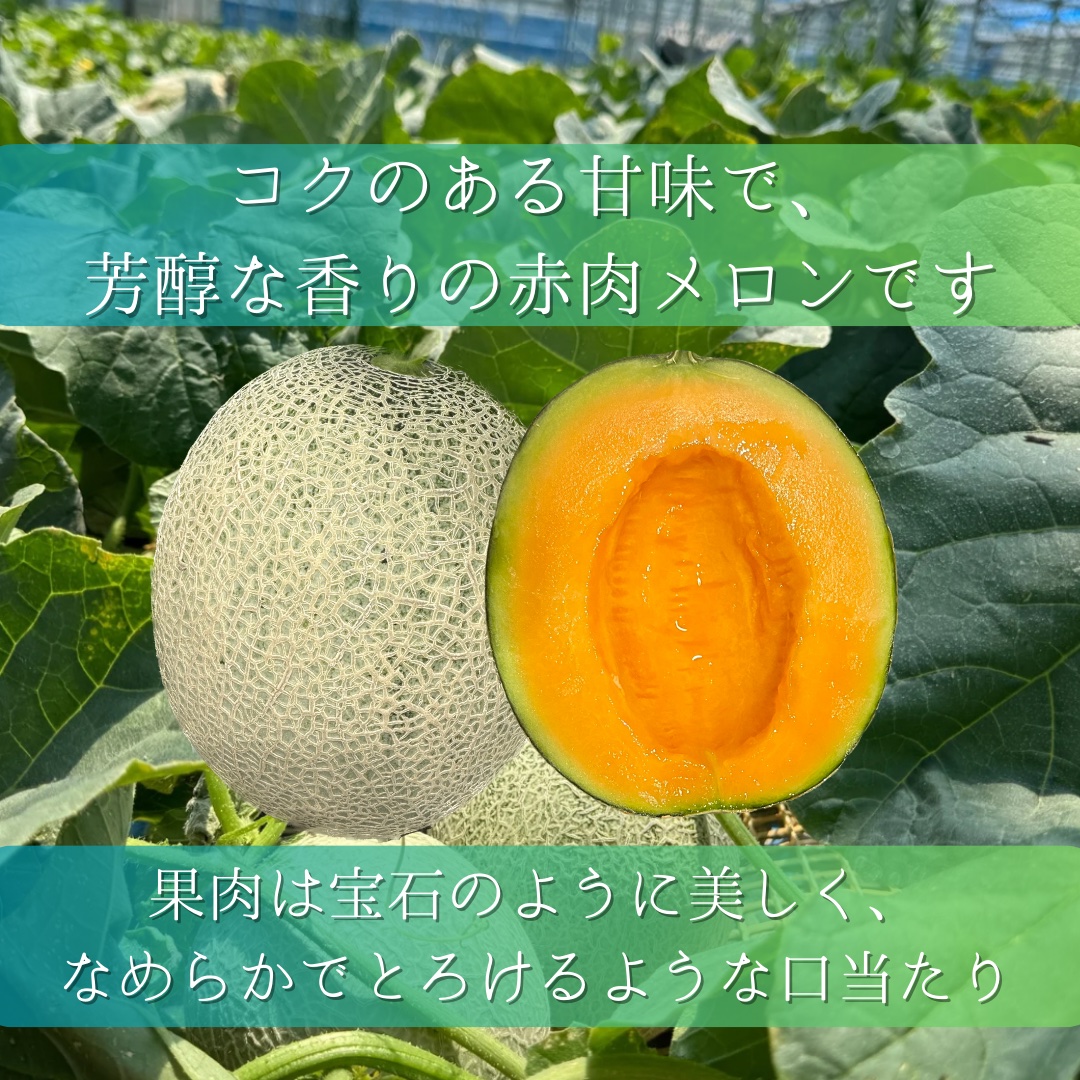 ル*ル様 訳ありメロン　高知県産　赤肉メロン　6玉入り　約8㎏（下箱込み） ル*ル様 訳ありメロン 高知県産 赤肉メロン 6玉入り 約8㎏（下箱込み