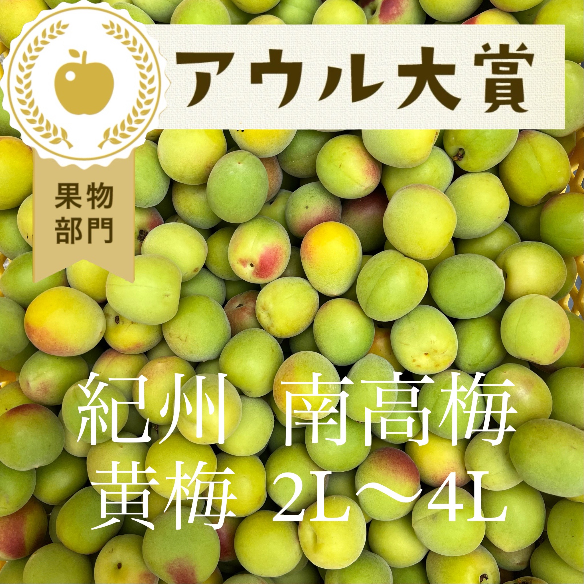 3kg】黄梅 南高梅 ｜ 果物/青梅 産直アウル 農家・漁師など生産者から