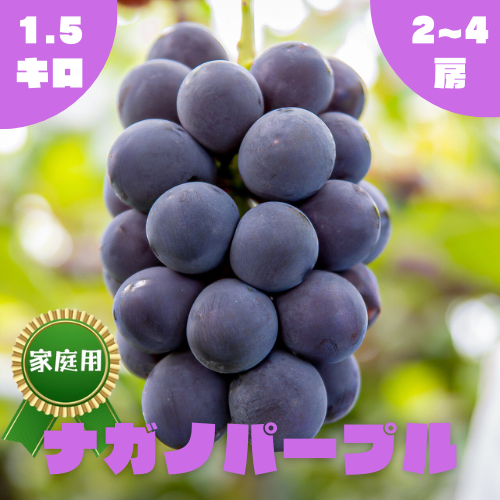 家庭用】ナガノパープル・1.5kg・2~4房 ｜ 果物/ぶどう 産直アウル