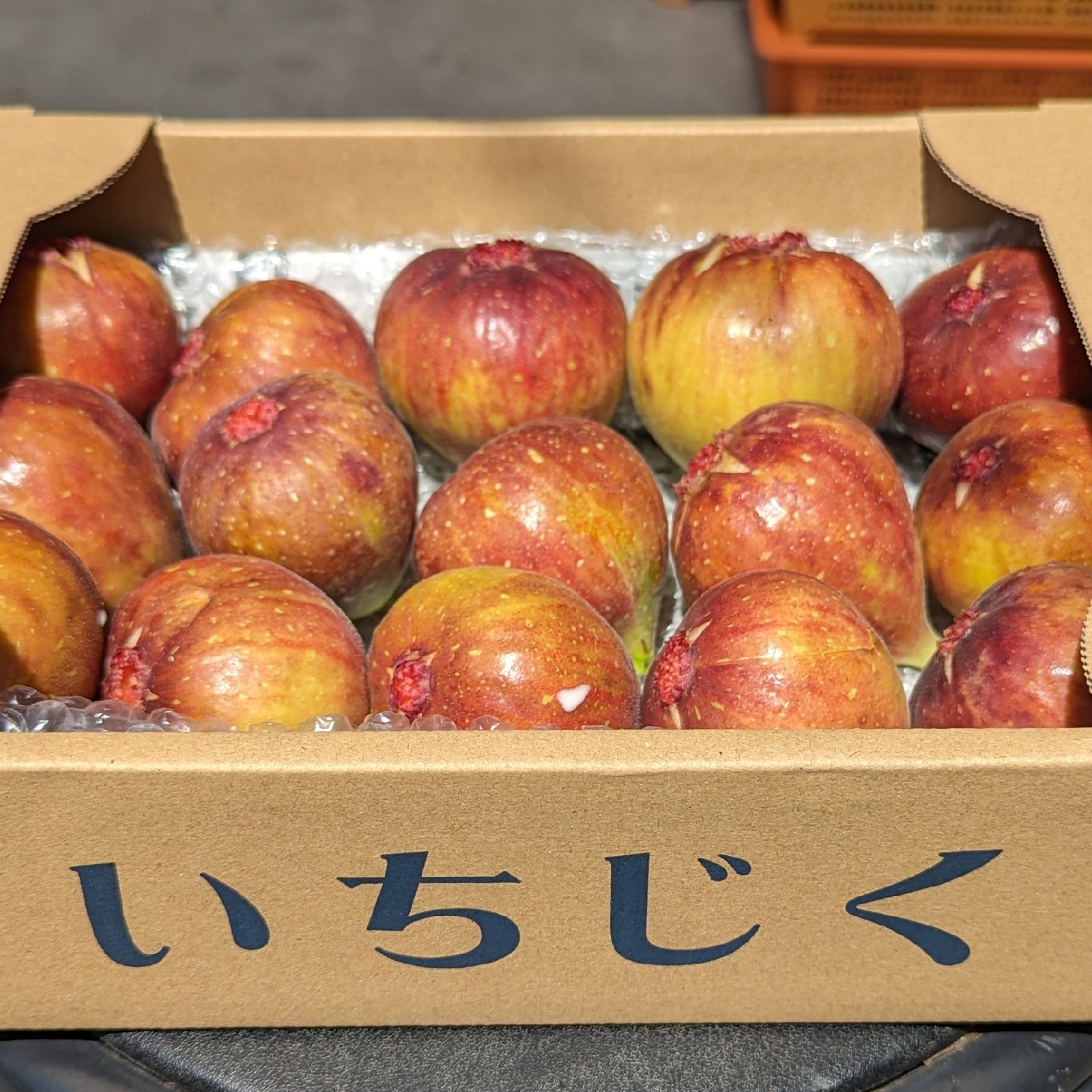 にゃんもこ 小さな自然農園 にゃんモコ（福岡県・嘉麻市）｜生産者詳細｜産直アウル