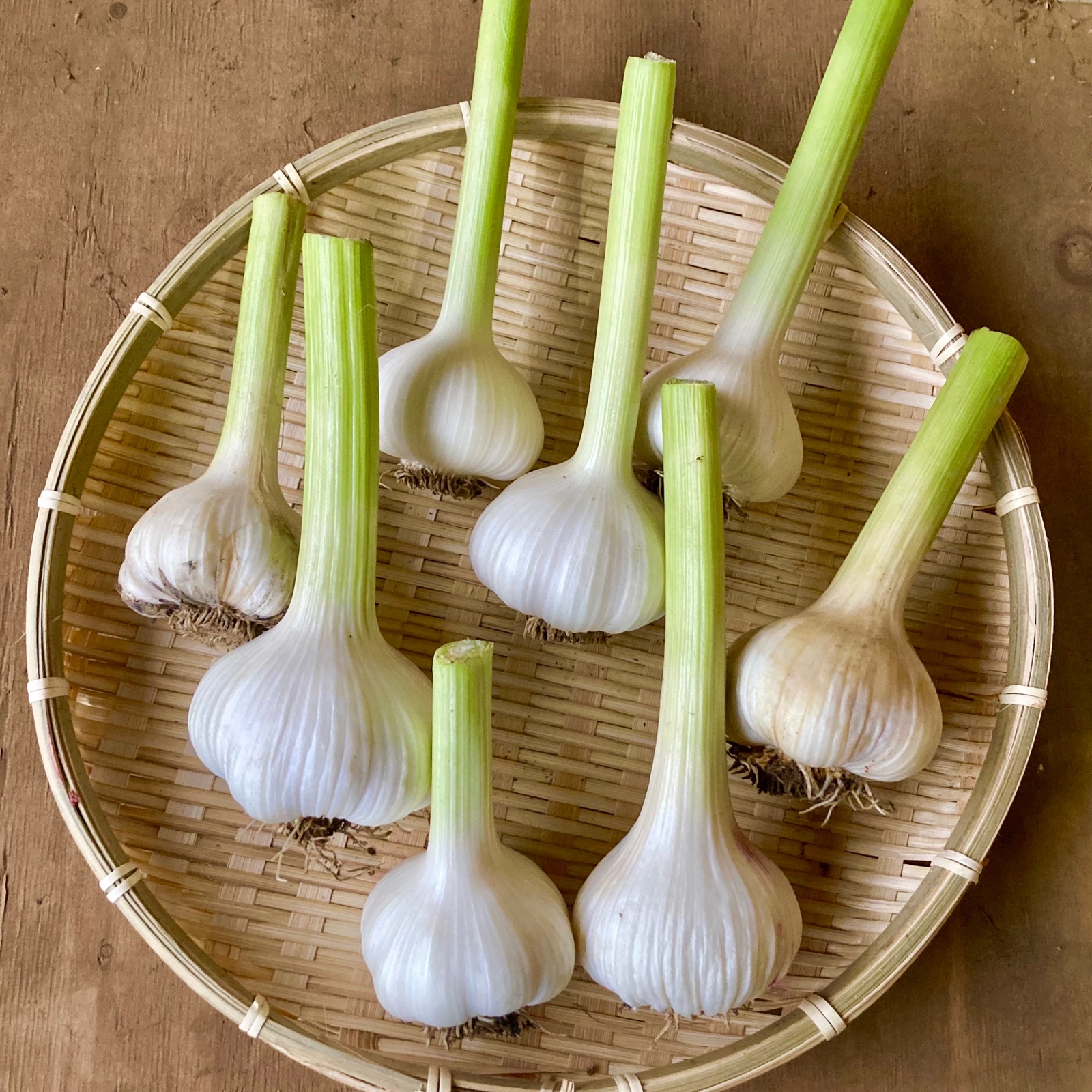 2週間限定！t.p.C farmの化学農薬不使用生にんにく1kg ｜ 野菜