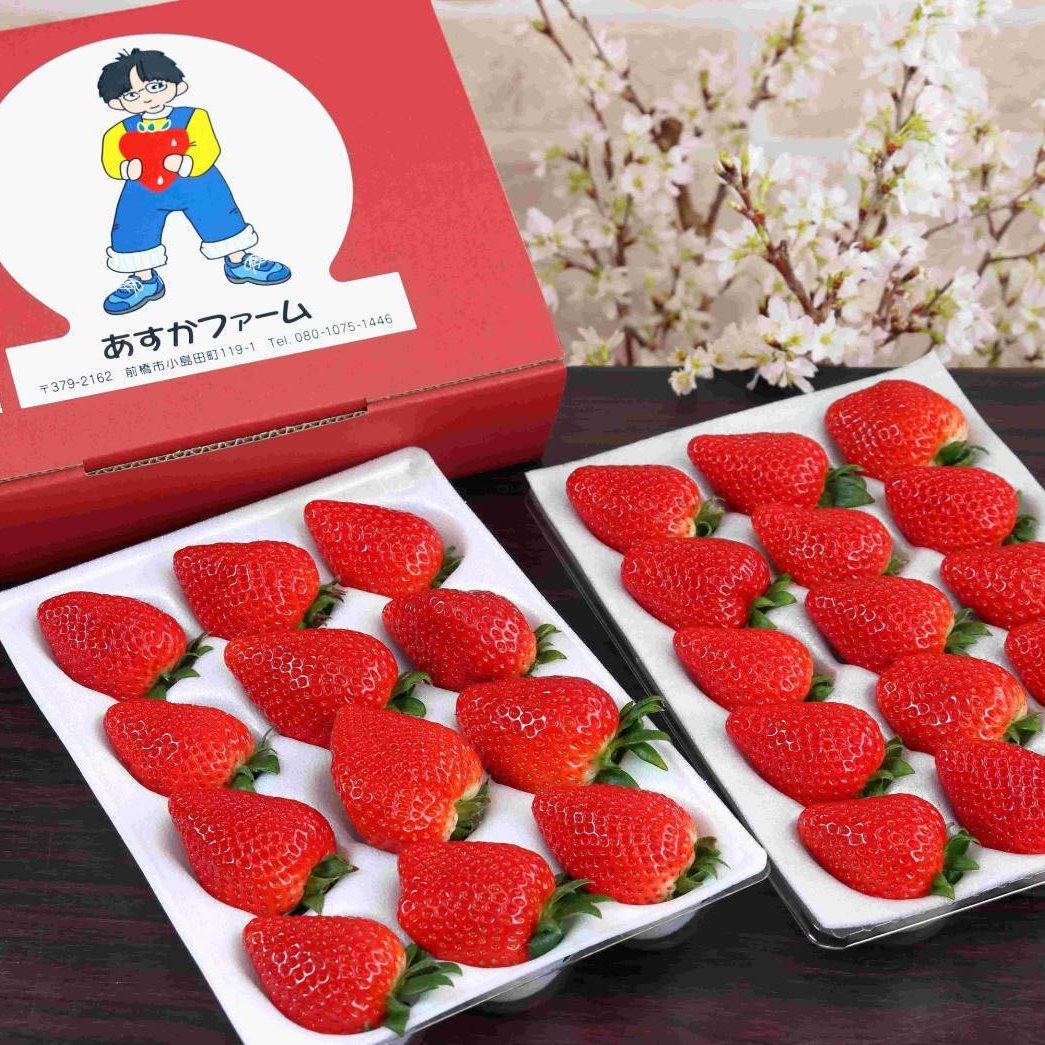 恋みのり 群馬県いちご品評会銅賞 桃の香りがするいちご400g2パック
