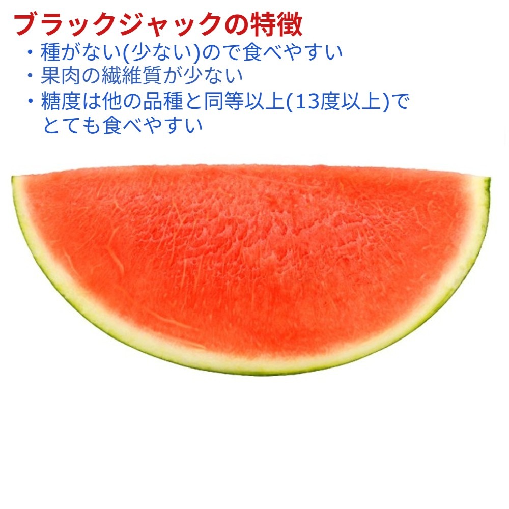 旬祭限定】《予約》おいしい尾花沢大玉スイカ 種のない(少ない
