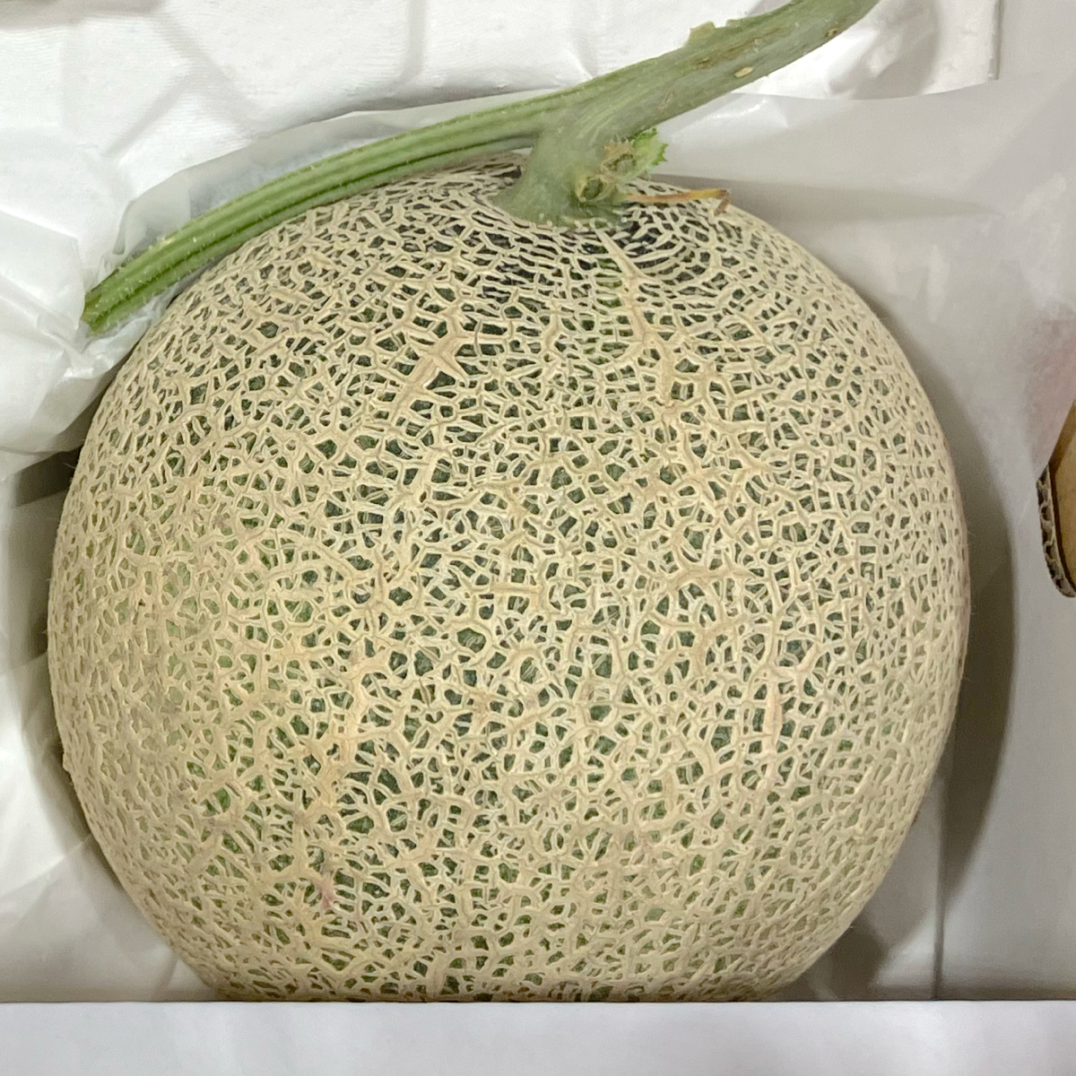 2L×2箱セット Panpanpanda　熊本県産　アンデスメロン【青肉】