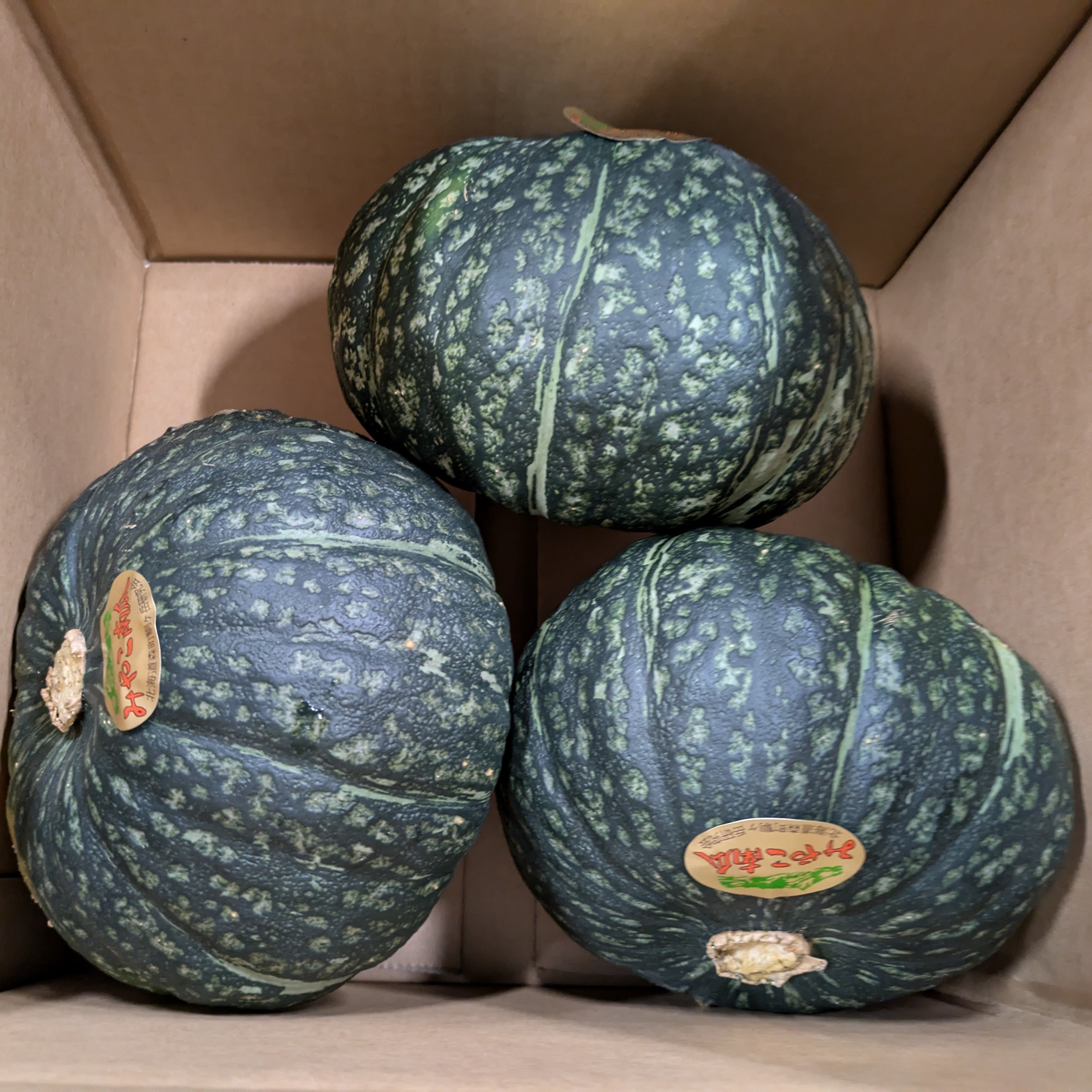 北海道森町産みやこかぼちゃ5kg | 野菜/かぼちゃ 産直アウル 農家