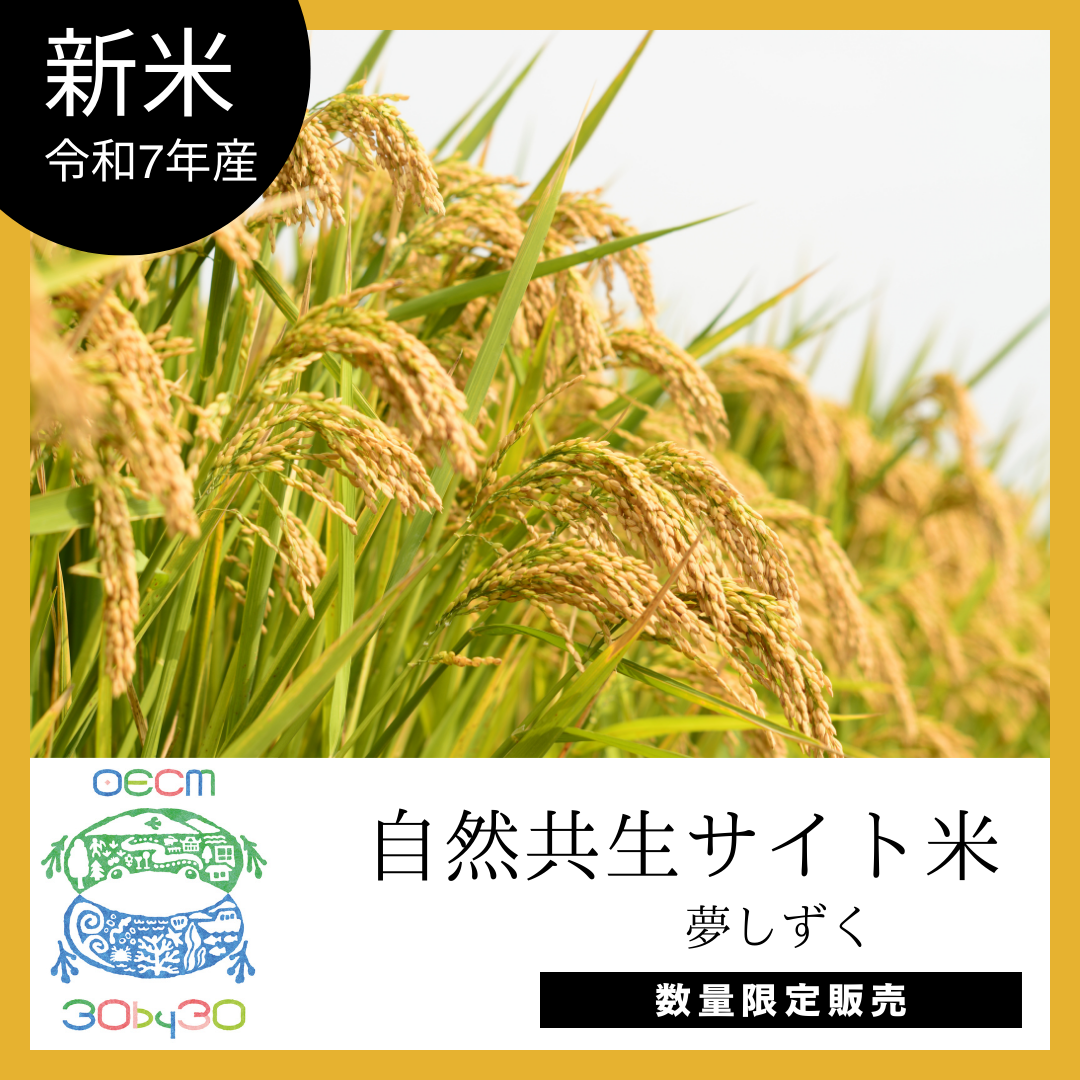 訳あり中米☆新米☆最高級米☆農家直送☆令和5年度福島県南会津産コシヒカリ20kg komeyamayoshi_23nk-5k