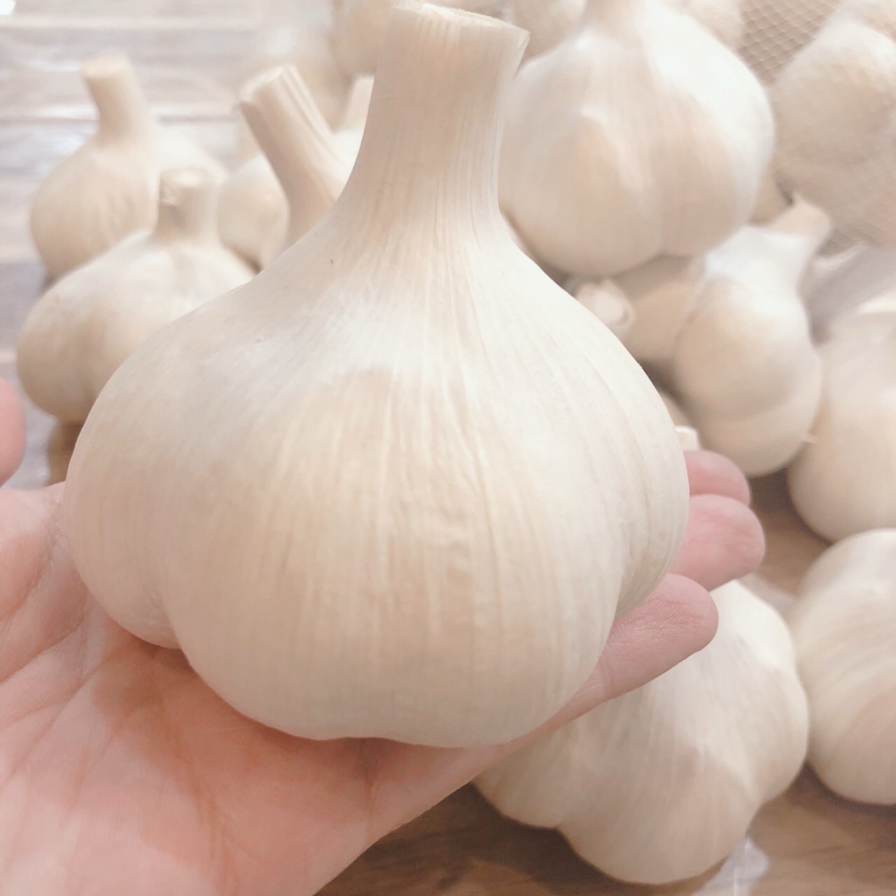 青森にんにくファーム（青森県・十和田市）｜生産者詳細｜産直アウル