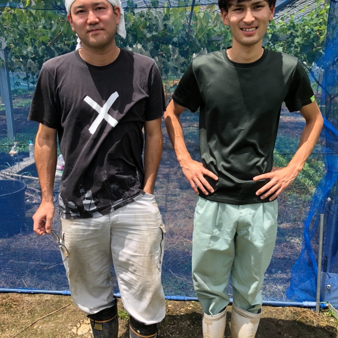 11月配送】令和8年兵庫県産コシヒカリ 9kg ｜ 米・穀物/米/精米