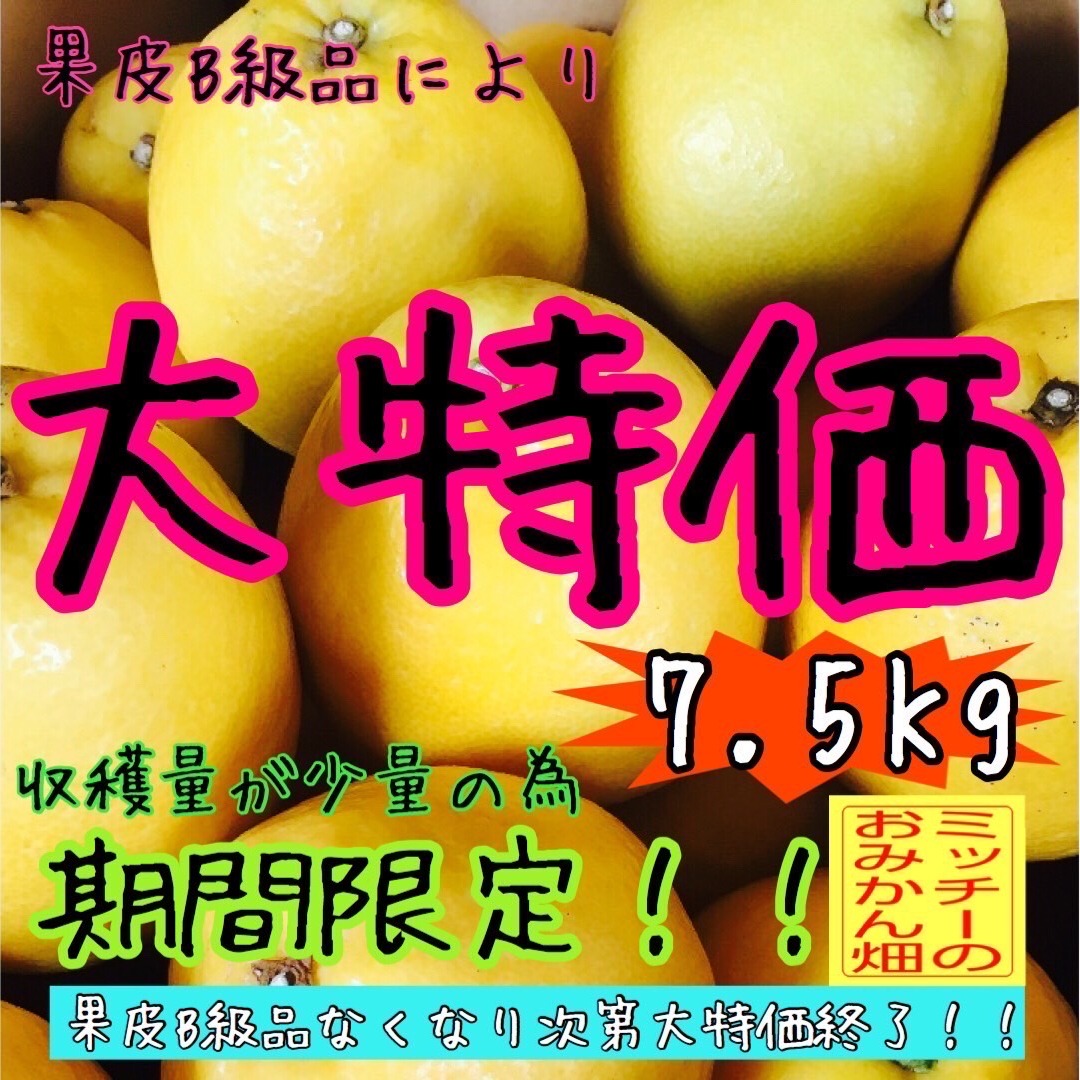 ミッチー の おみかん畑（愛媛県・愛南町）｜生産者詳細｜産直アウル