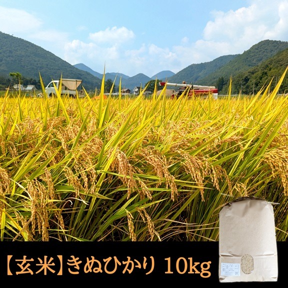 京都産 キヌヒカリ 10kg 楽天市場】【ふるさと納税】令和7年産 京都丹波産キヌヒカリ 10kg 米