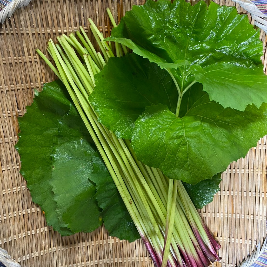 塩漬け 塩蔵　山ふき　蕗　山菜　野菜 フキ 3kg(1kg×3袋) 山形県産
