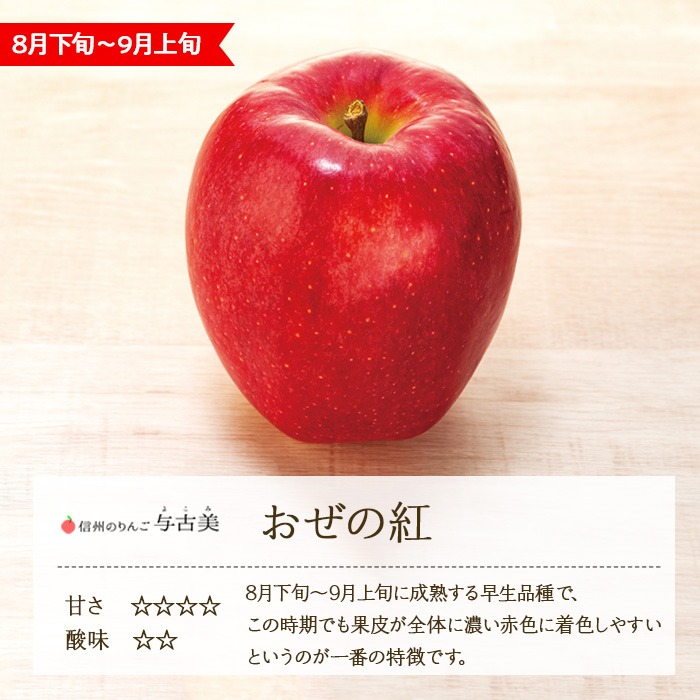 Ayaco☆　紅プリ4kg+訳ありせとか8kgぐるりん りんご【おぜの紅】訳あり約3kg 2026年度予約受付中 香り豊かな初秋の
