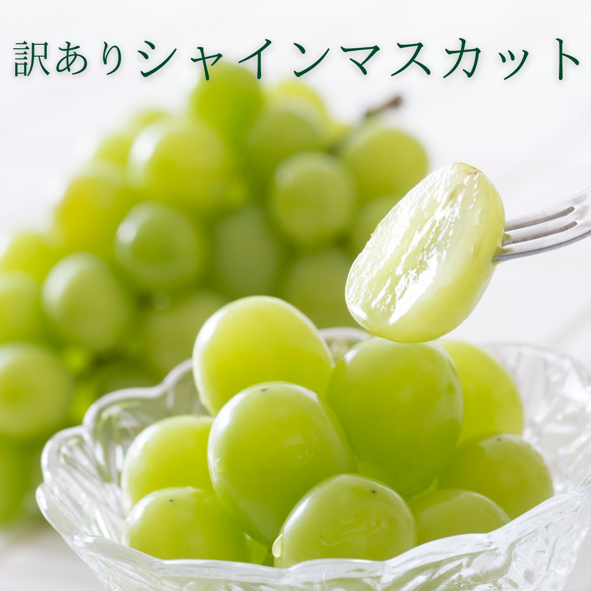 【夏季限定】No.73　2kg　シャインマスカット　摘みたて　産地直送　山梨県産 楽天市場】シャインマスカット 訳あり 2kg 山梨県産 粒不揃い