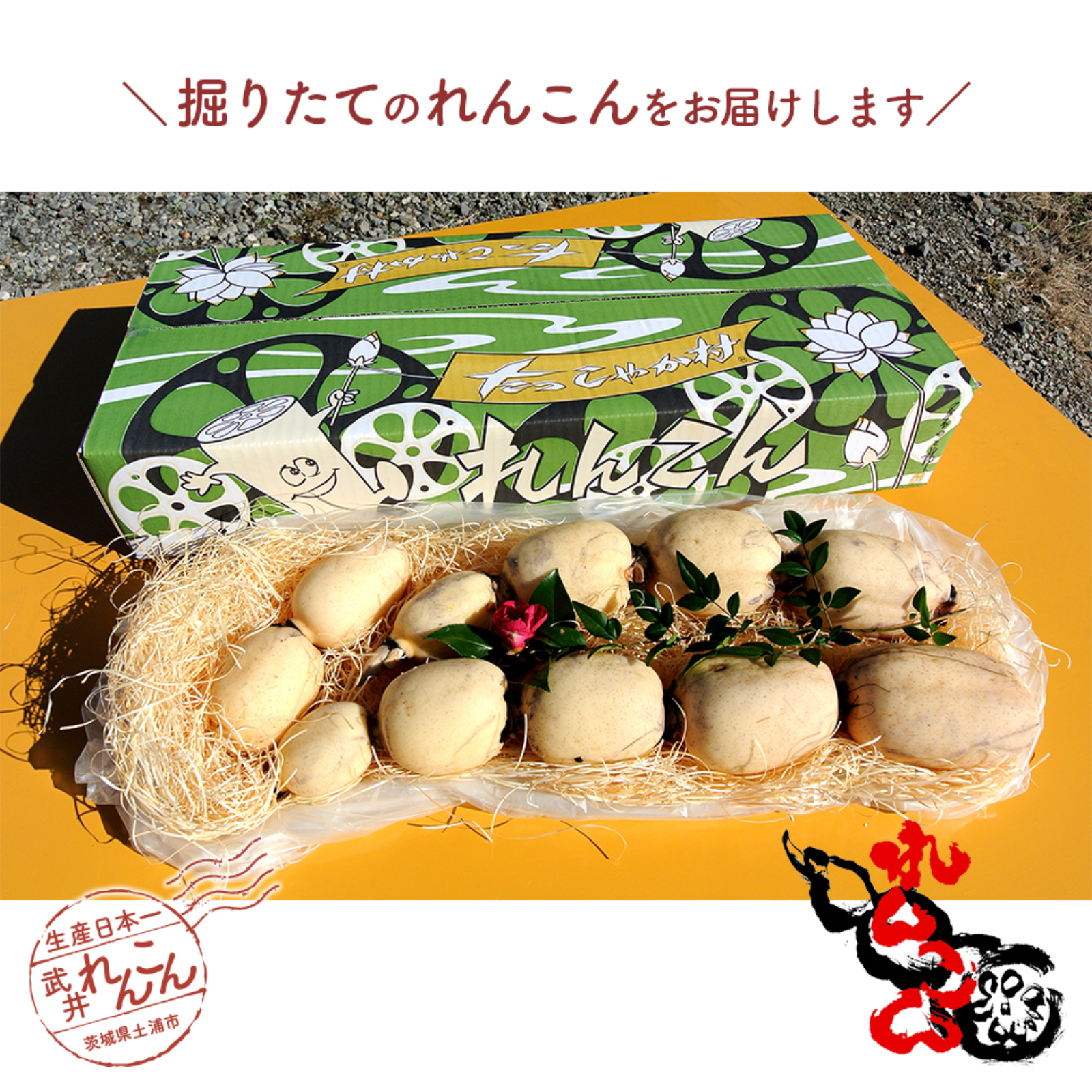 素晴らしい kantora様専用 kantora様専用 食品