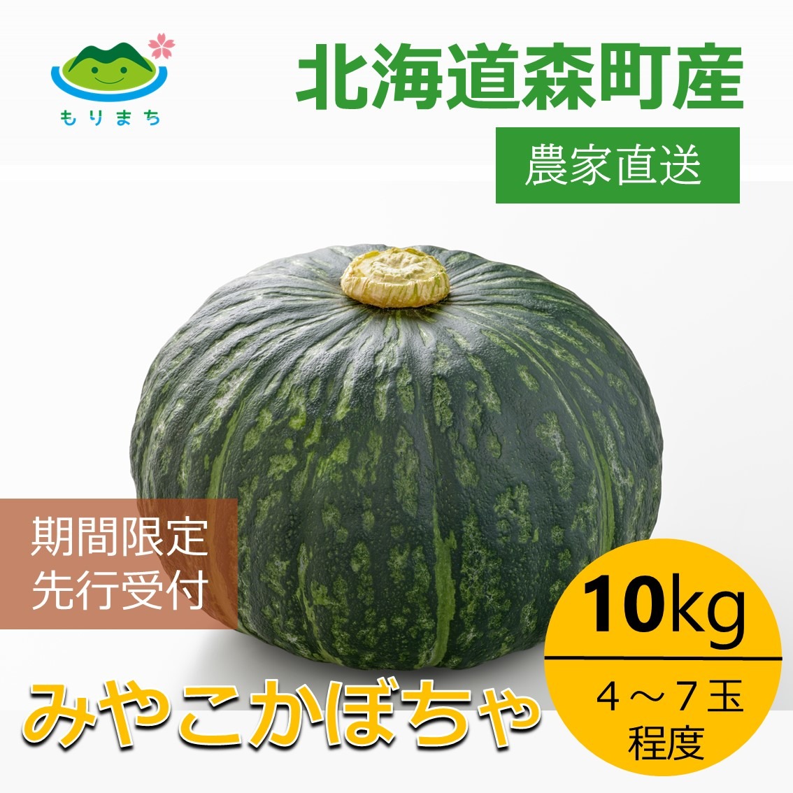 北海道産　　みやこかぼちゃ　　6個入り　　10キロ