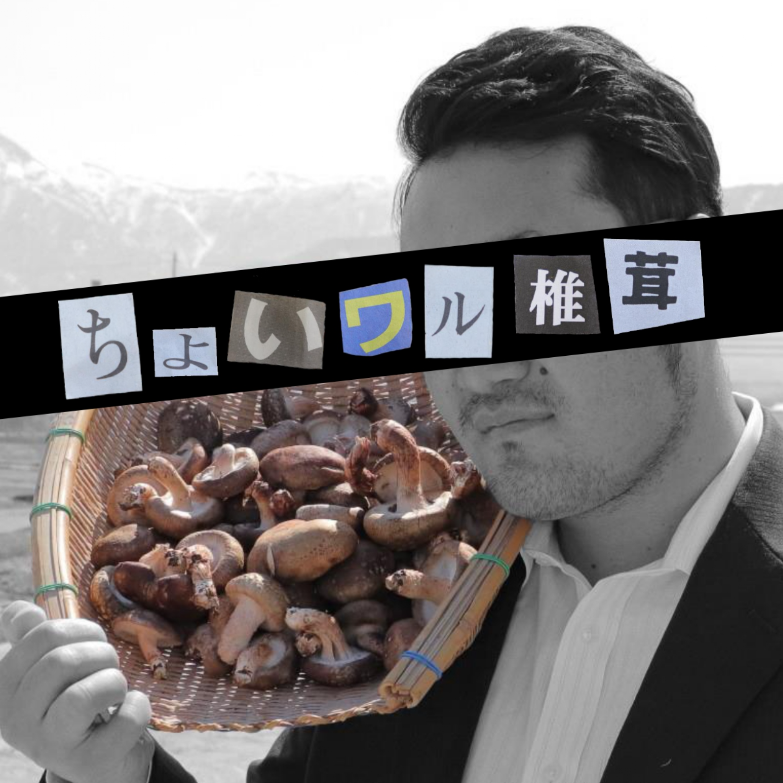 箱いっぱいサービス中】帰ってきた！！！ちょいワル椎茸 1㎏【常温発送