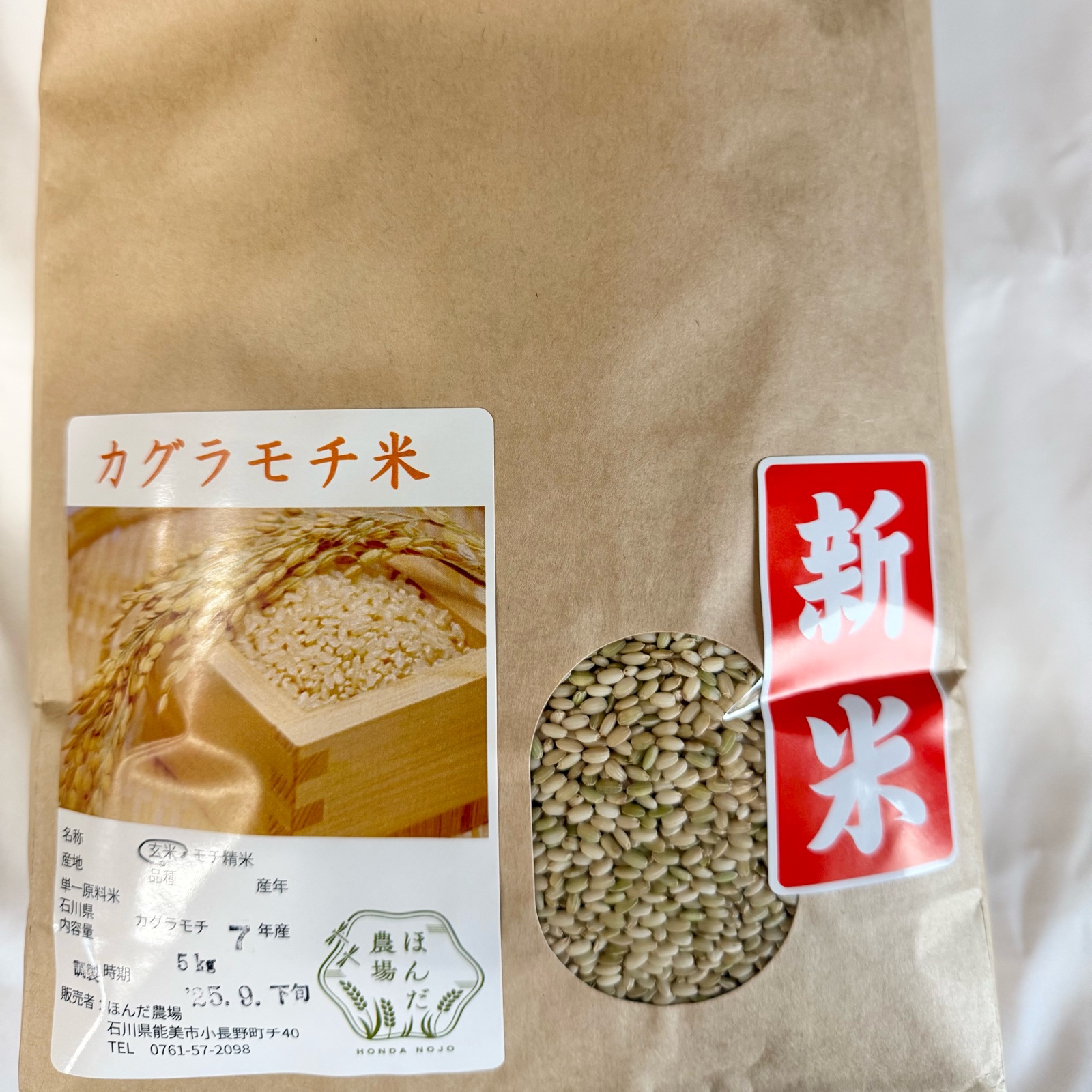 もち米　7年産【かぐらもち】5kg 令和7年産 もち米 カグラモチ 餅米 玄米 5kg ｜ 米・穀物/もち米 産直