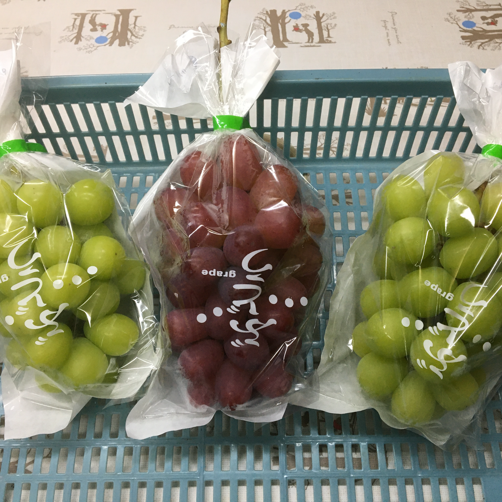 家庭用】シャイン＆クイーンルージュ®詰合せ 1.5kg ｜ 果物/ぶどう
