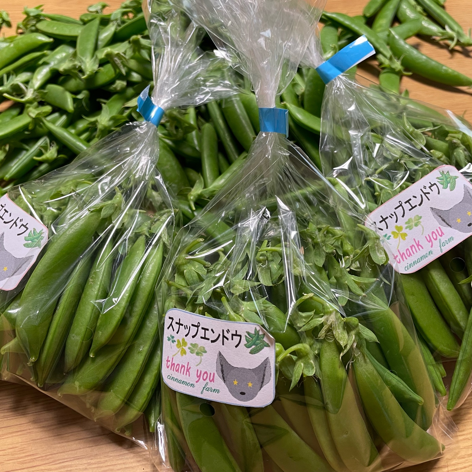 スナップえんどう 約9kg 送料込 スナップエンドウ ｜ 野菜/豆類 産直アウル 農家・漁師など生産者から