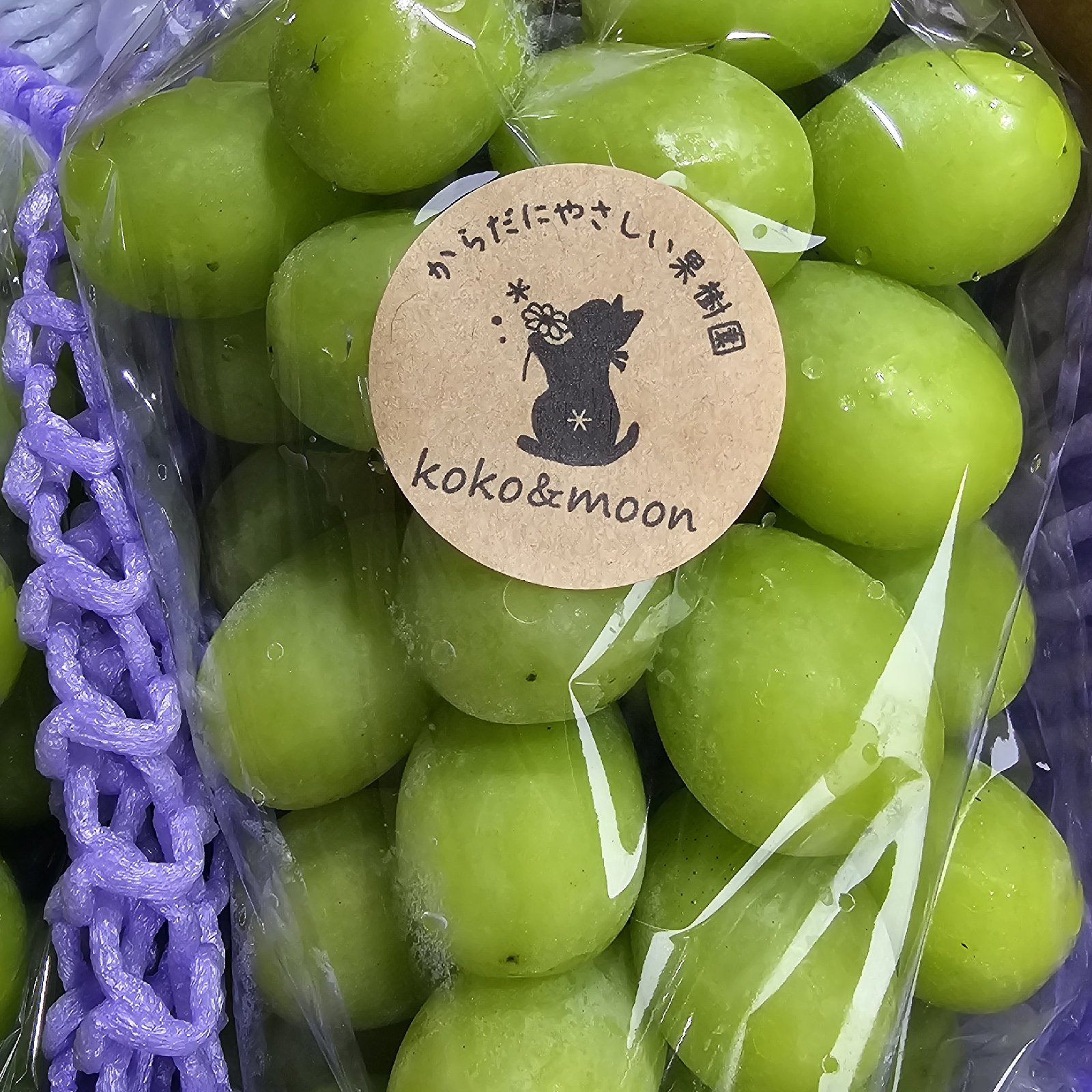 長野県産シャインマスカット 粒 4キロ 公式通販