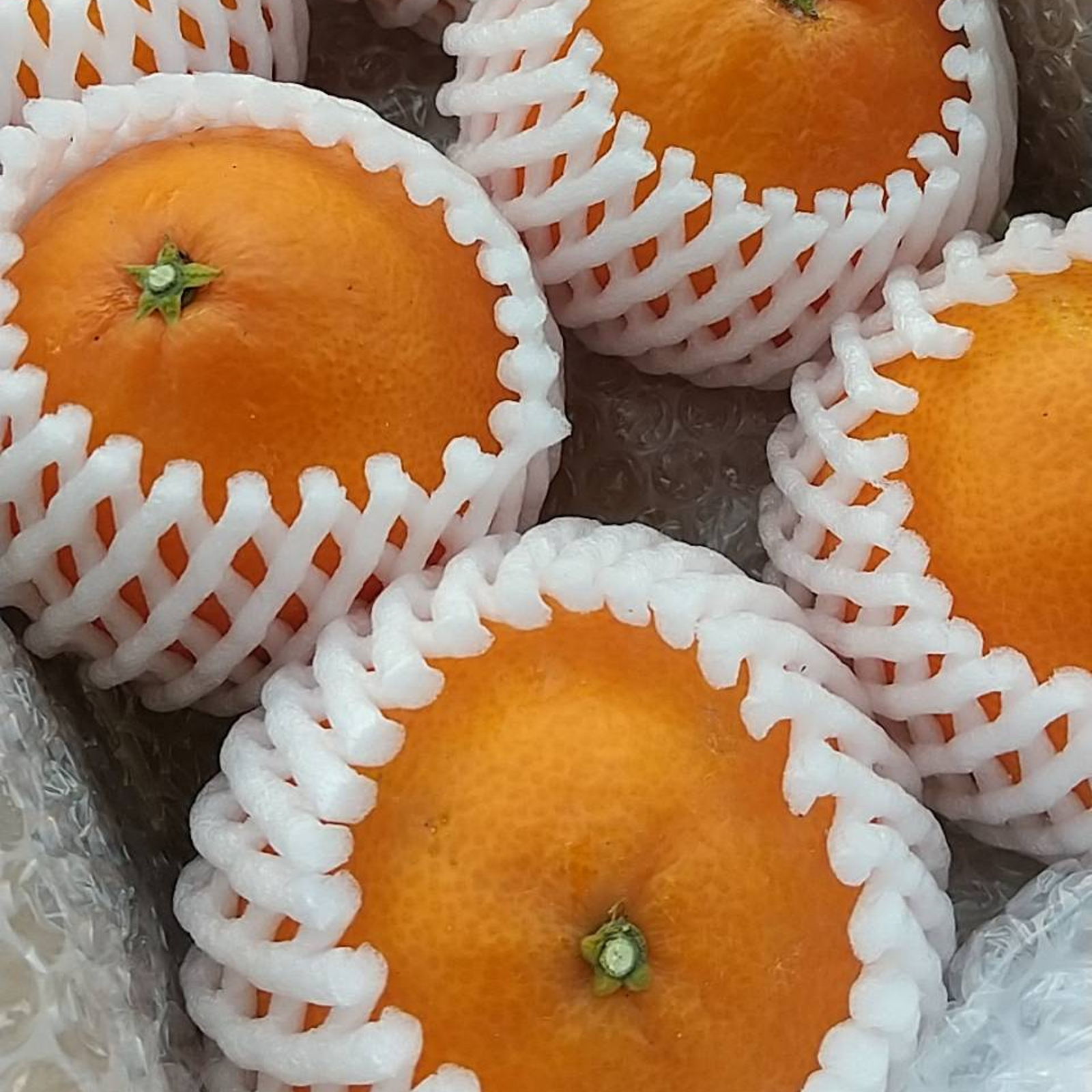 まどんな（愛媛果試28号） 小箱 Lサイズ 6玉入り | 果物/オレンジ