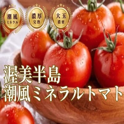 トマト好き トマト好きが思わず唸る】ギリギリまで完熟させた濃厚大玉の潮風