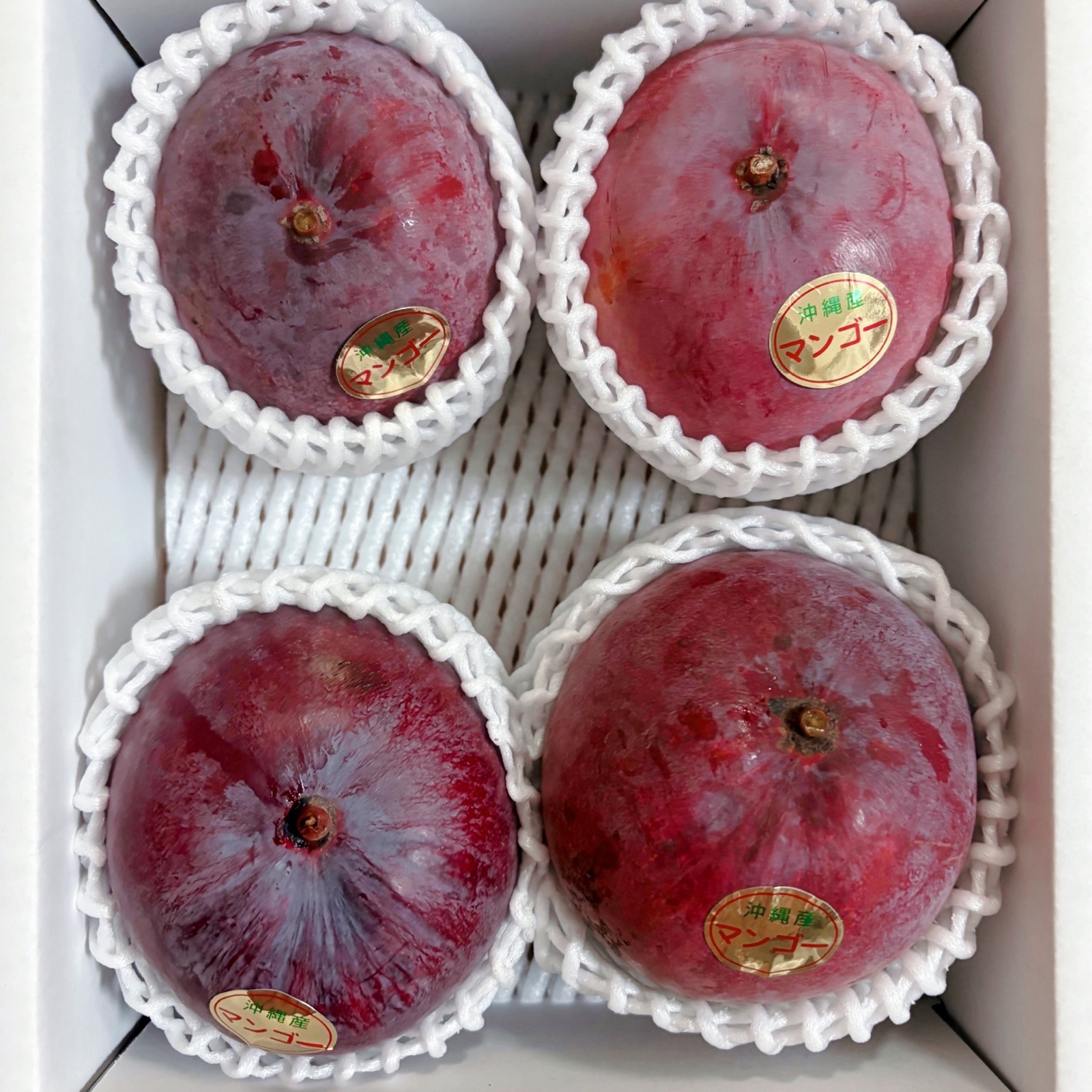 沖縄県産 レッドキーツマンゴー1.5kg | 果物/マンゴー 産直アウル 農家