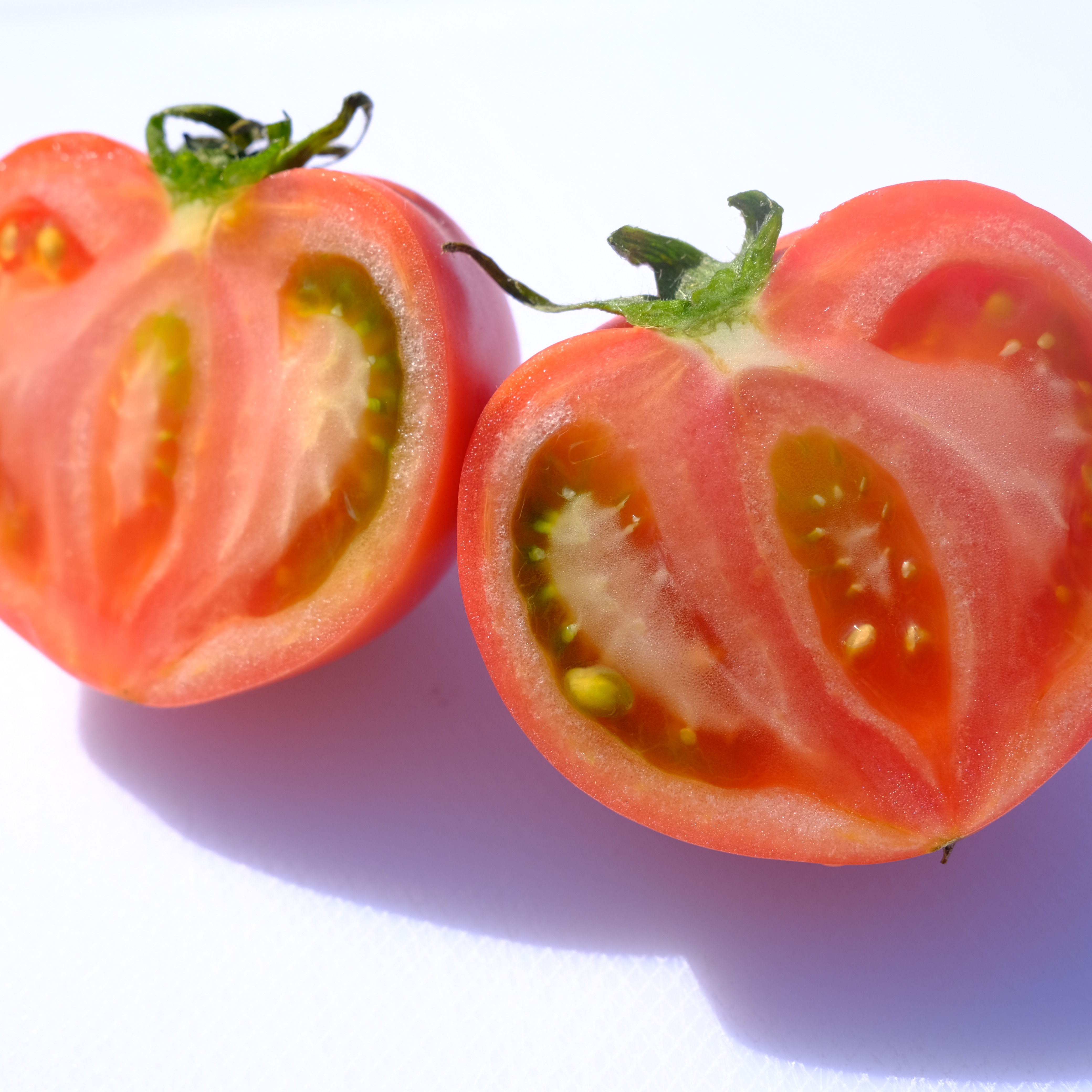 期間限定】大阪府産フルーツトマトSサイズ ｜ 野菜/トマト 産直アウル