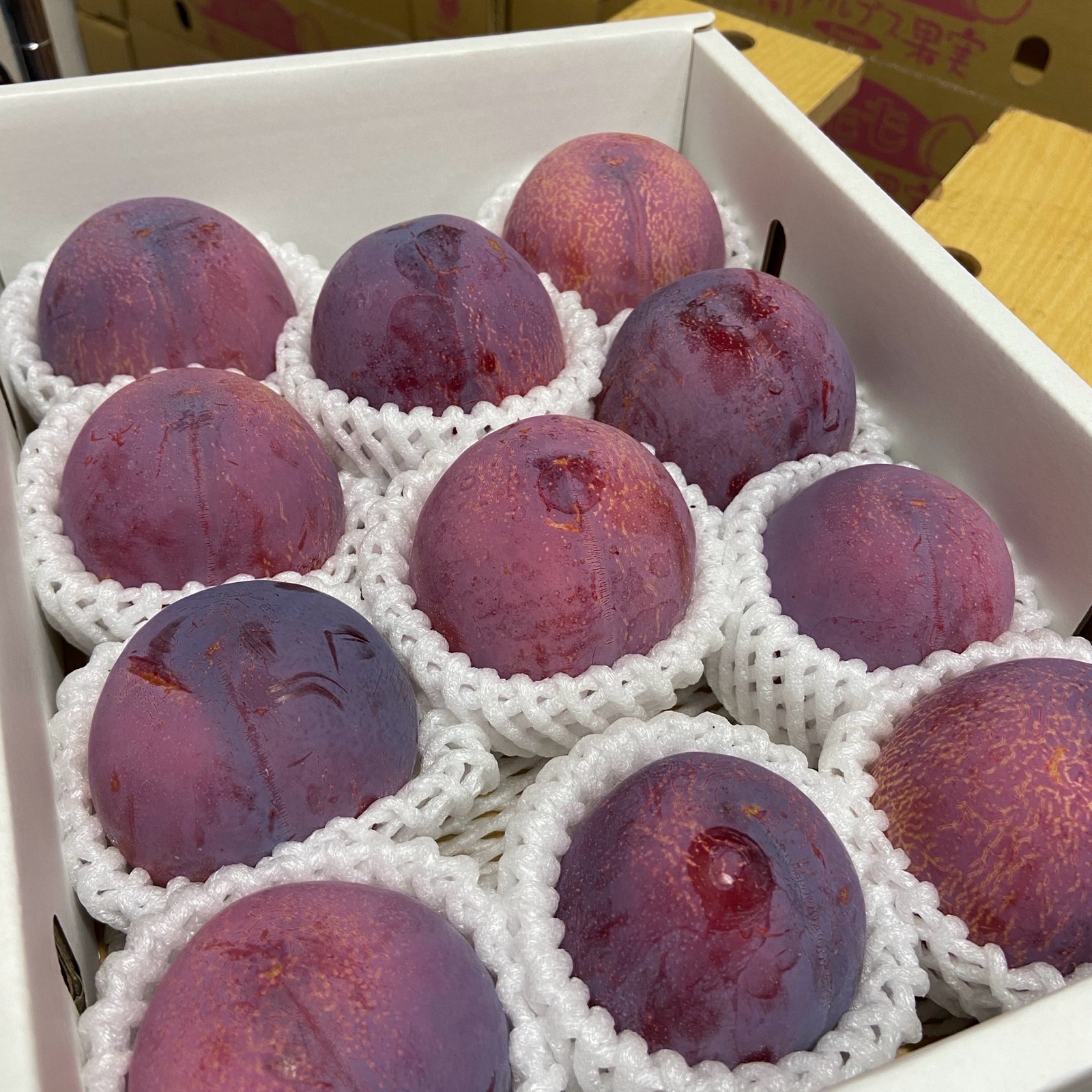数量限定★すももの王様★貴陽　2個入り×6パック 贈答用 今が旬】希少すももの王様！貴陽！ ｜ 果物/すもも・プラム 産直アウル