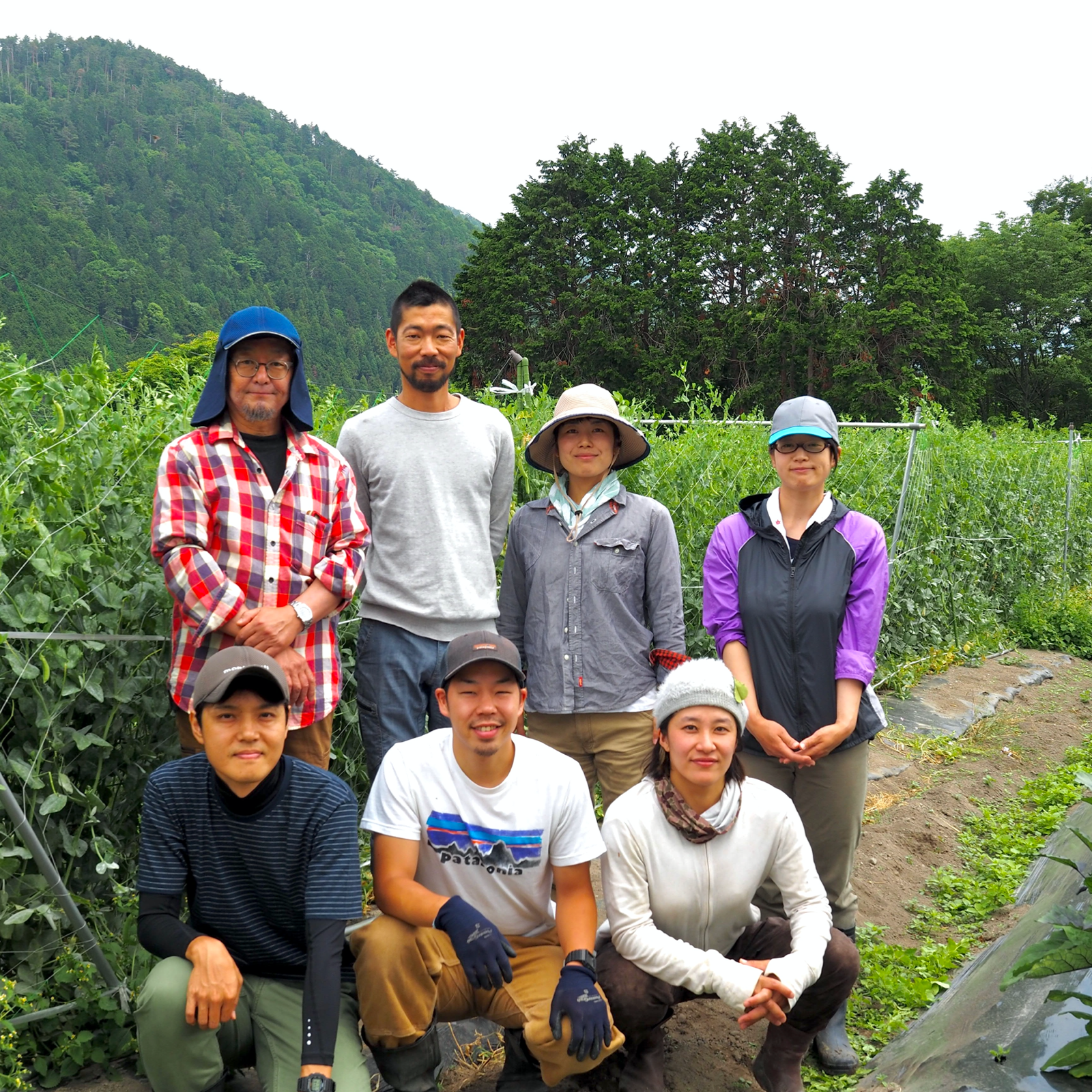 ⭐️本物のオーガニック⭐️【有機JAS認証京海老芋2㌔】 ｜ 野菜
