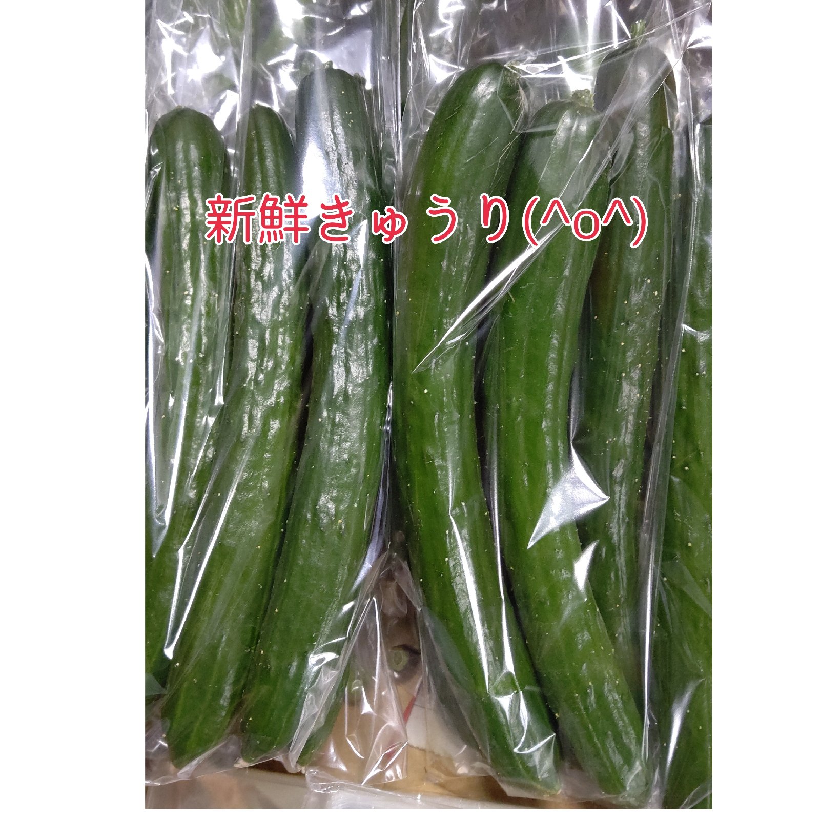 20本新鮮キュウリ(^^)♪ ｜ 野菜/きゅうり 産直アウル 農家・漁師など