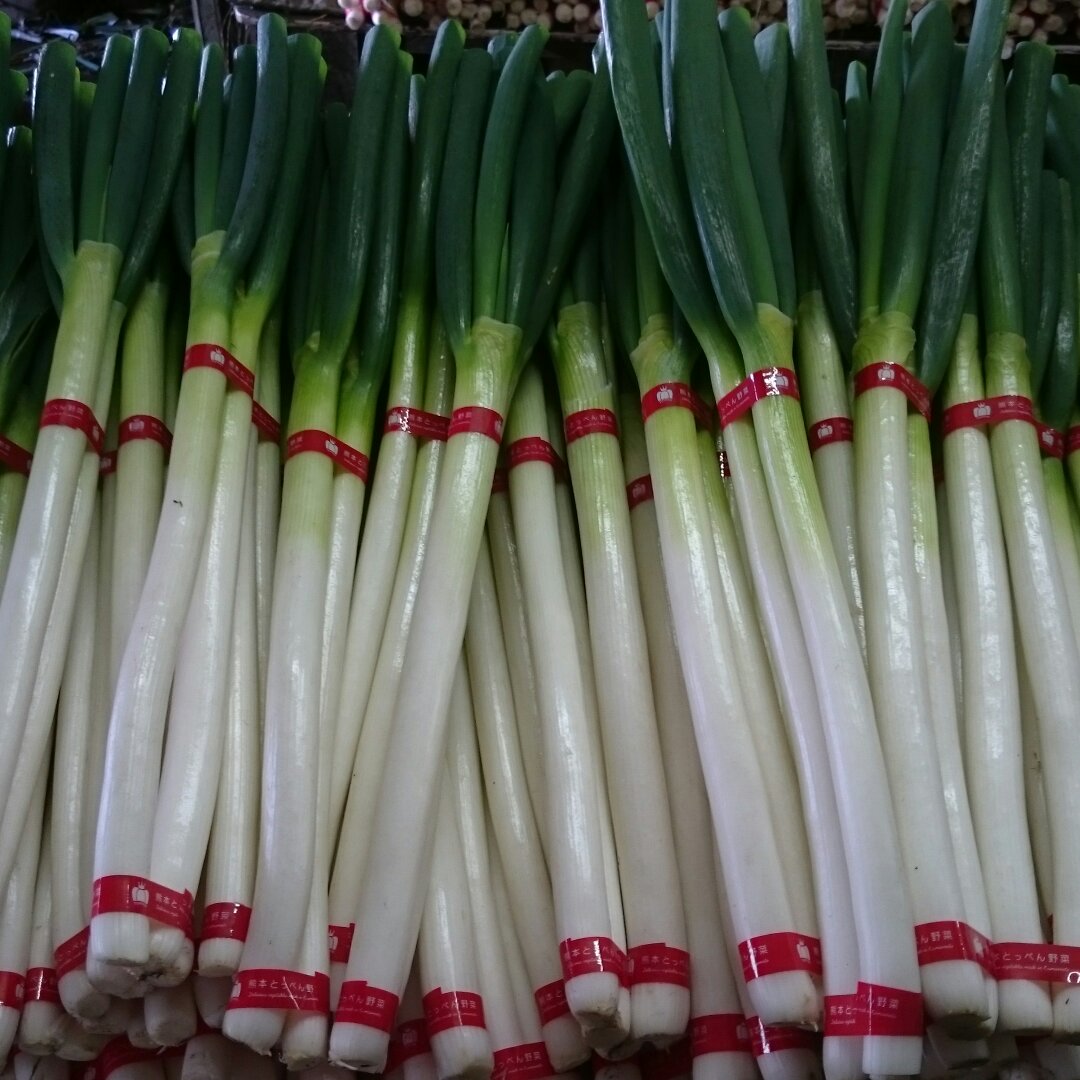 平野さんちの白ネギ 小サイズ約20本(約1､5キロ) | 野菜/ねぎ 産直