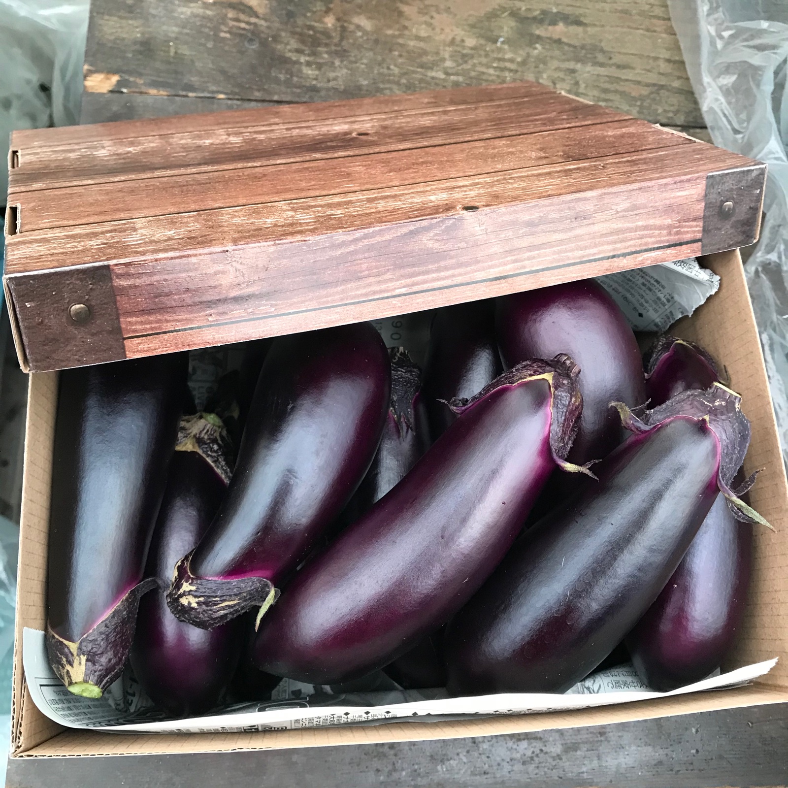 訳あり規格外🍆たっぷり召し上がれ🍆お多福野菜🍆千両茄子 ｜ 野菜