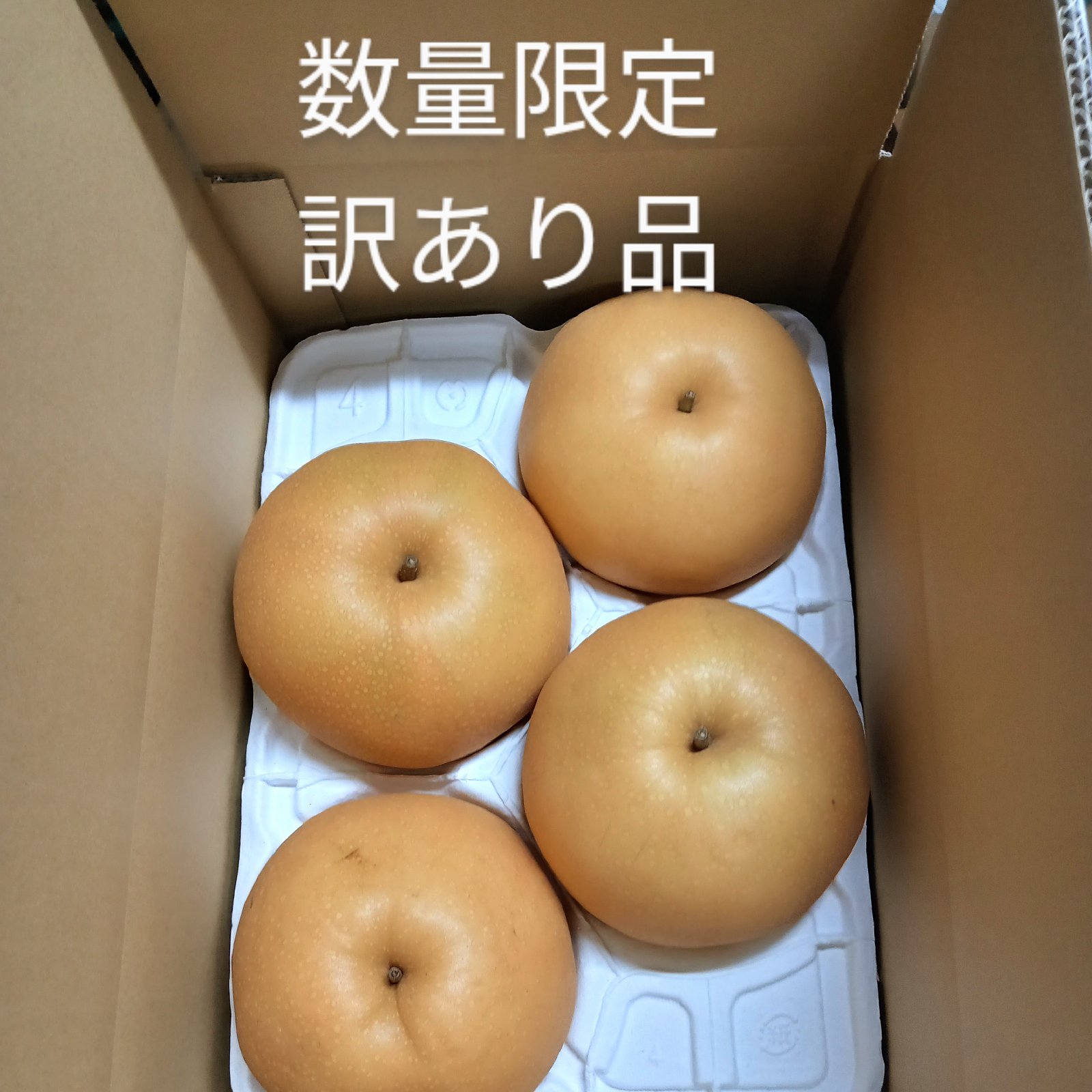 add1ba67e798cf61a0e566d86b5605