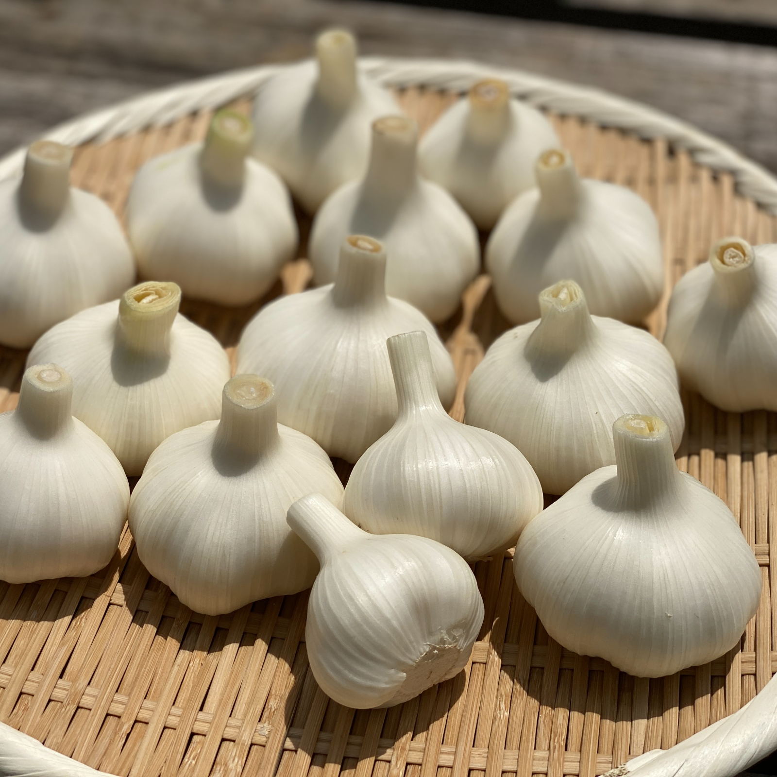 今の時期だけ!!】ほくほくで甘い生にんにく【1kg】 ｜ 野菜/にんにく