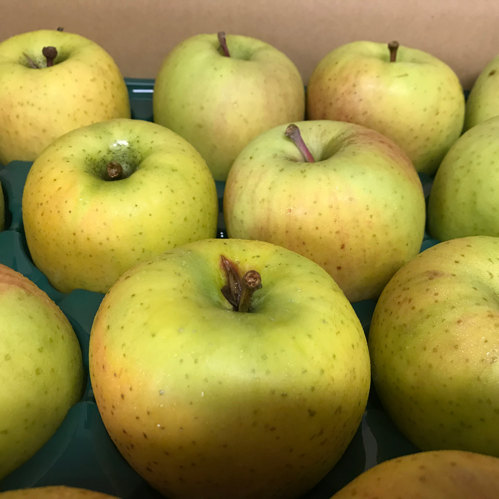 専用 10kg 青森県産りんご【ミックス】670傷なし青林5kg.黄金ふじ5kg