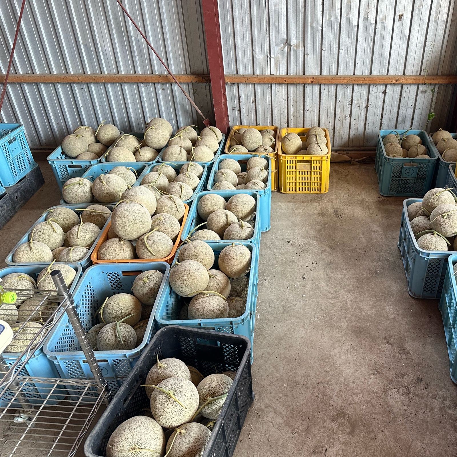 富良野ナチュラルファーム（北海道・富良野市）｜生産者詳細｜産直アウル