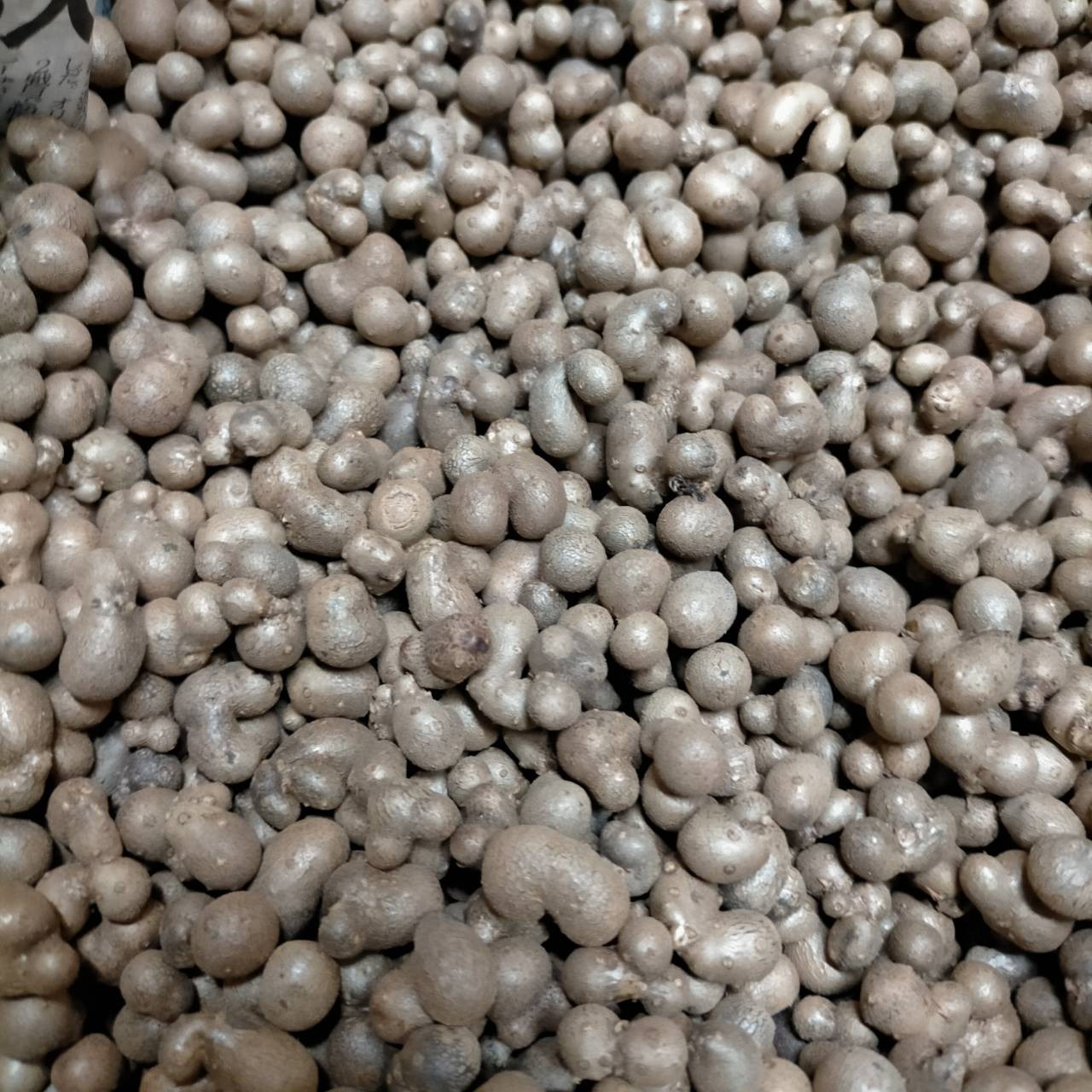 訳あり】むかご 10kg (型崩れ) 長芋 ねばりっこ とっくり芋 | 野菜