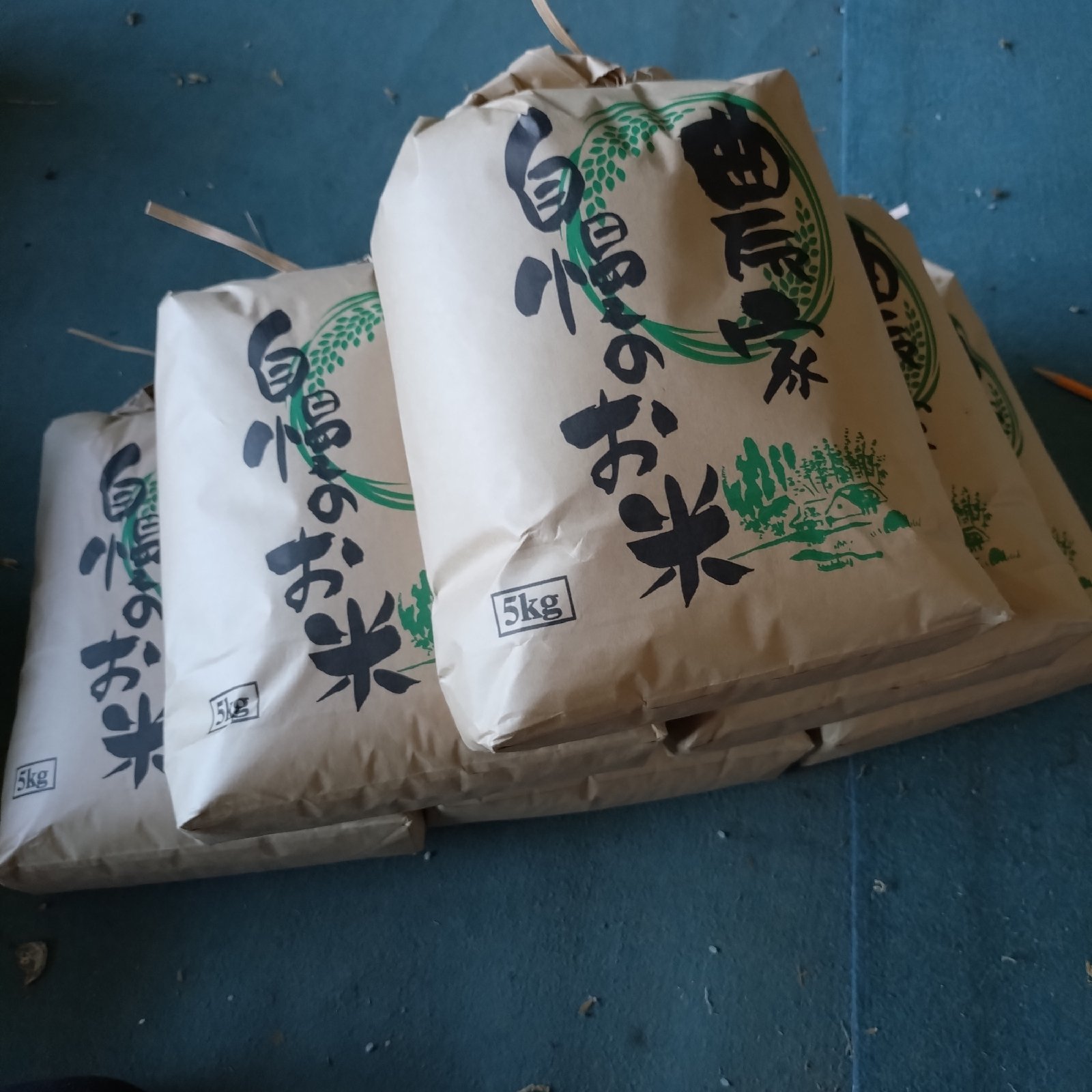 宮崎県産の2025年新米無洗米コシヒカリ5kg ｜ 米・穀物/無洗米 産直