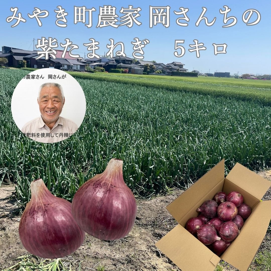 佐賀県みやき町農家 岡さんちの紫たまねぎ5キロ ｜ 野菜/玉ねぎ 産直