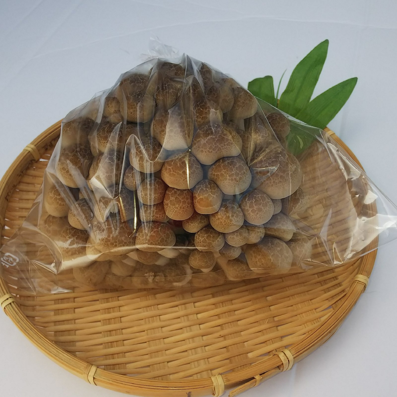 朝採りしめじ！10株 ｜ 野菜/きのこ 産直アウル 農家・漁師など生産者