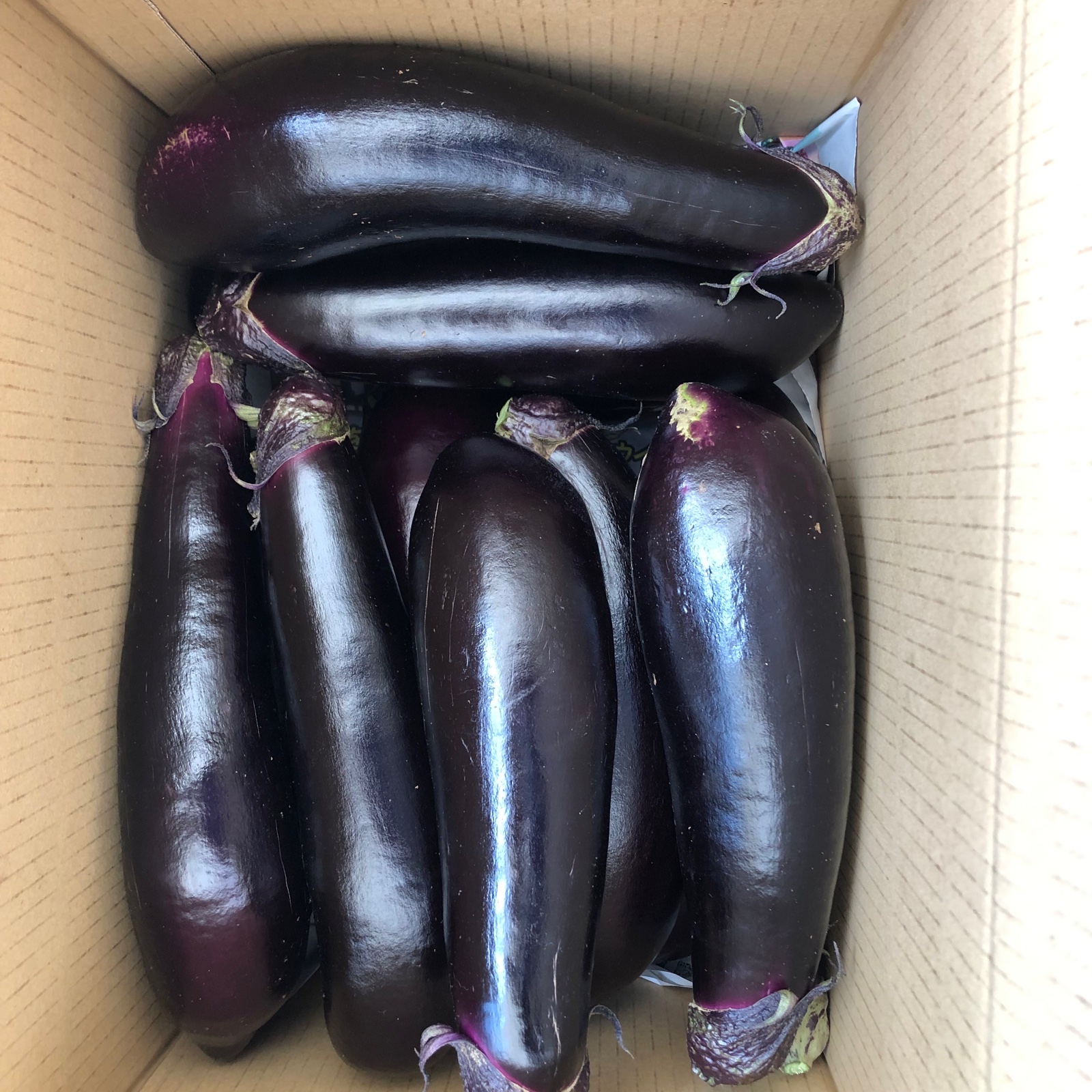 宮崎県産 筑陽長なす 5キロ（規格外品） ｜ 野菜/茄子 産直アウル 農家