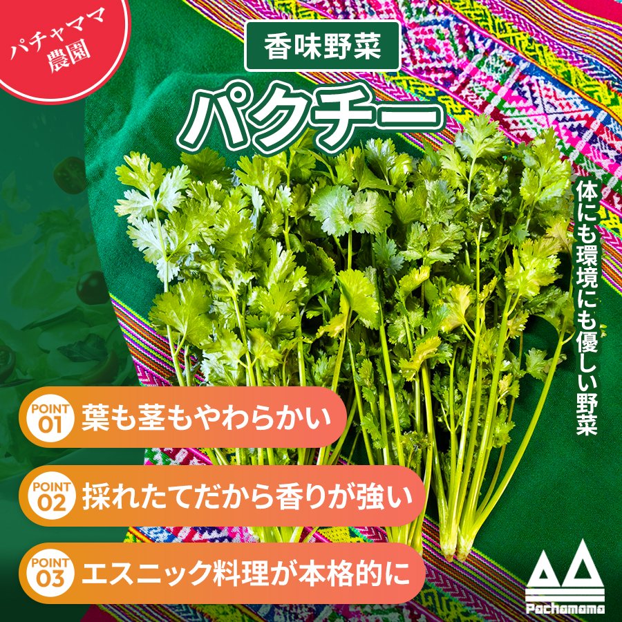 香りが違う！採れたて新鮮パクチー1kg｜エスニック料理に