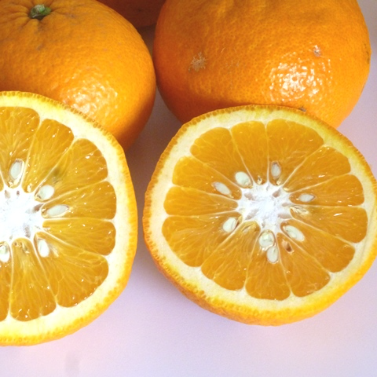 甘夏 みかん 10kg 農薬不使用 あまなつ 広島県産 | 果物/オレンジ