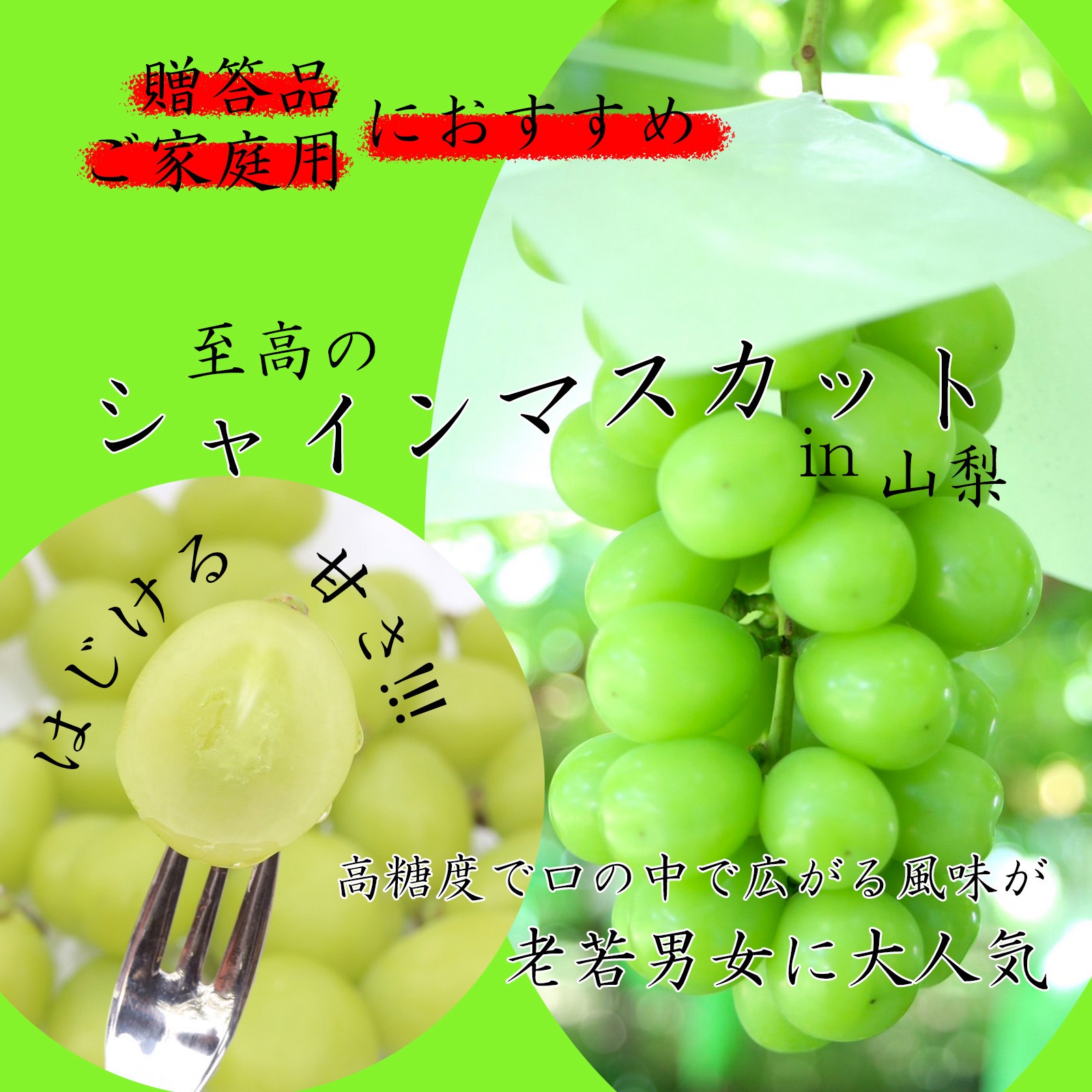 山梨県産】 シャインマスカット 3〜5房(2kg程度) ｜ 果物/ぶどう 産直