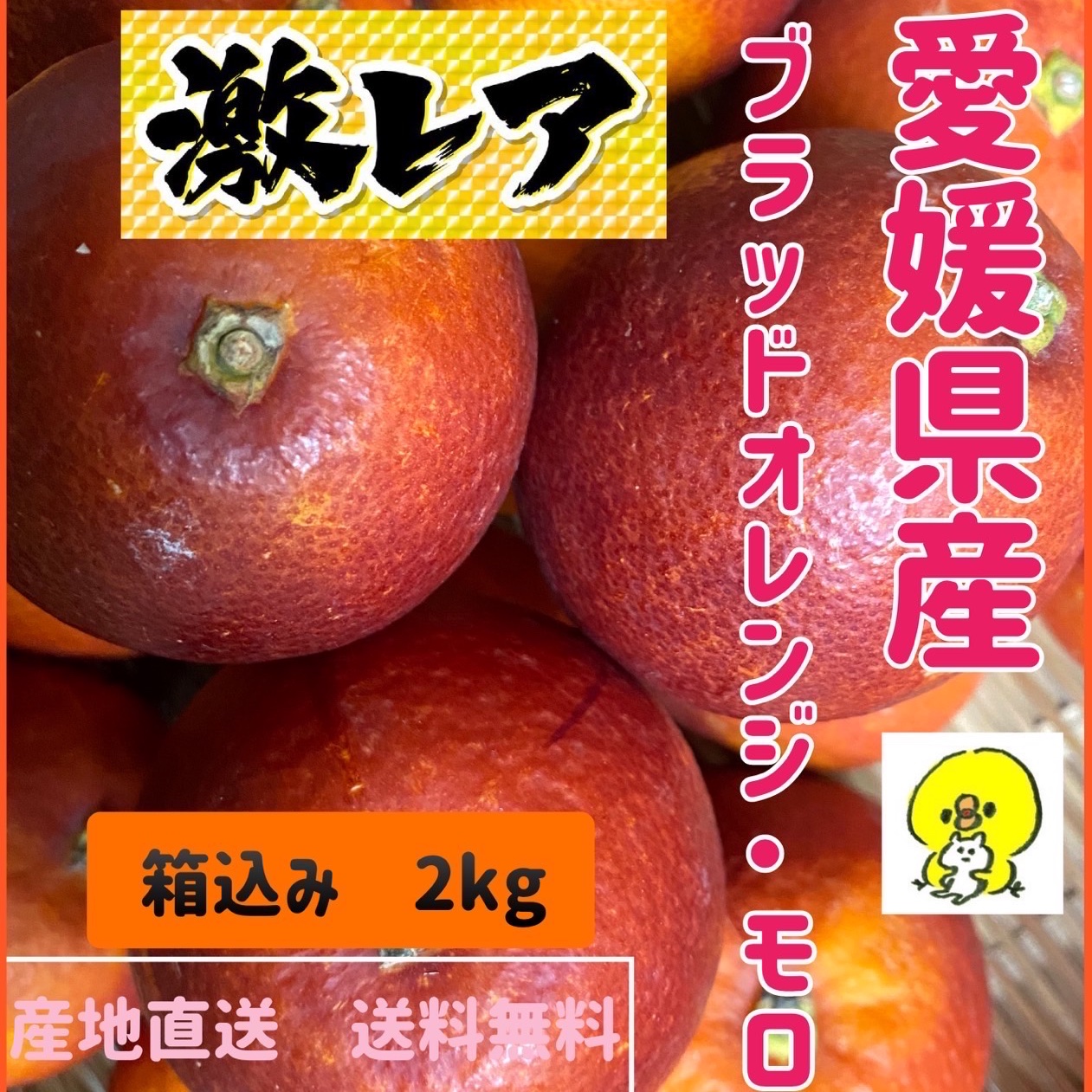 △本州、四国、九州のみ発送可△ ※ブラッドオレンジ・モロ※愛媛県