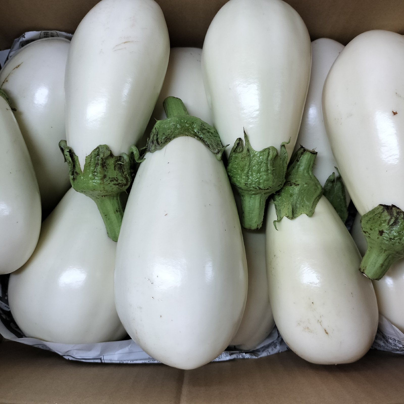 b114b235179b78ac51b4fccb85aba8