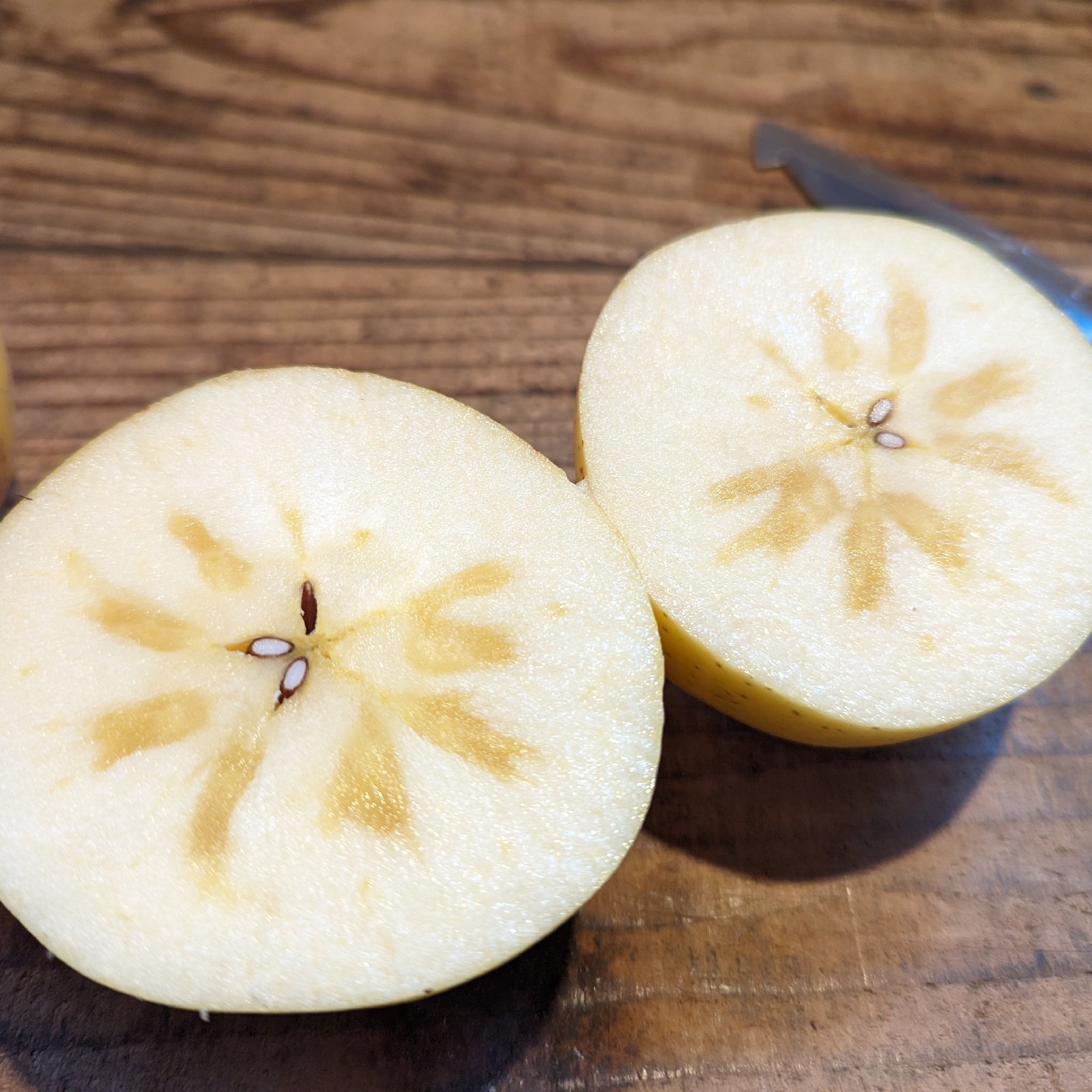 はるかりんご家庭用　5キロ箱 山形県産】大人のプレミアムりんご「無袋はるか」｜5キロ（個数は